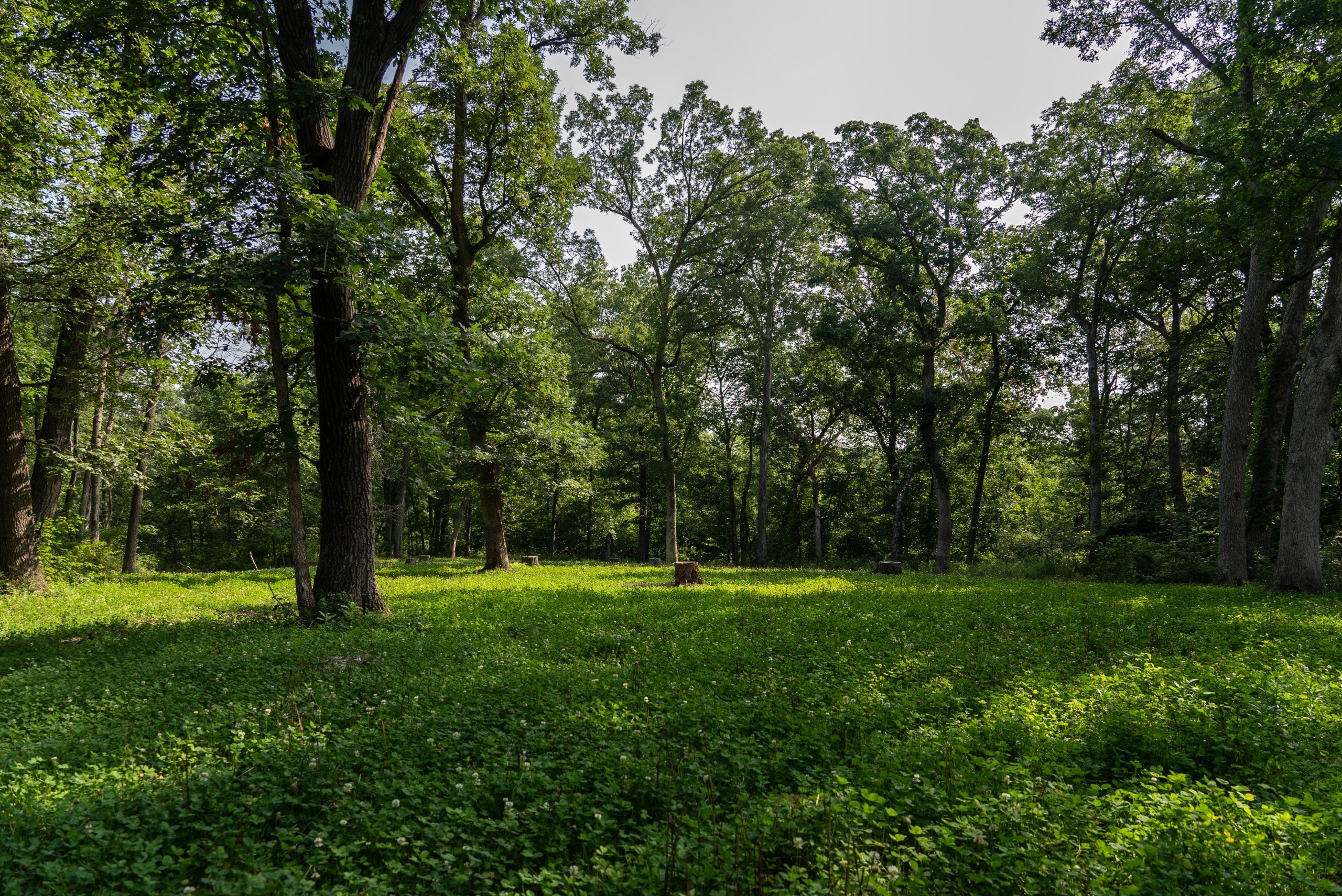 land-van-buren-county-iowa-1306-acres-listing-number-17013-DSC04655-3.jpg