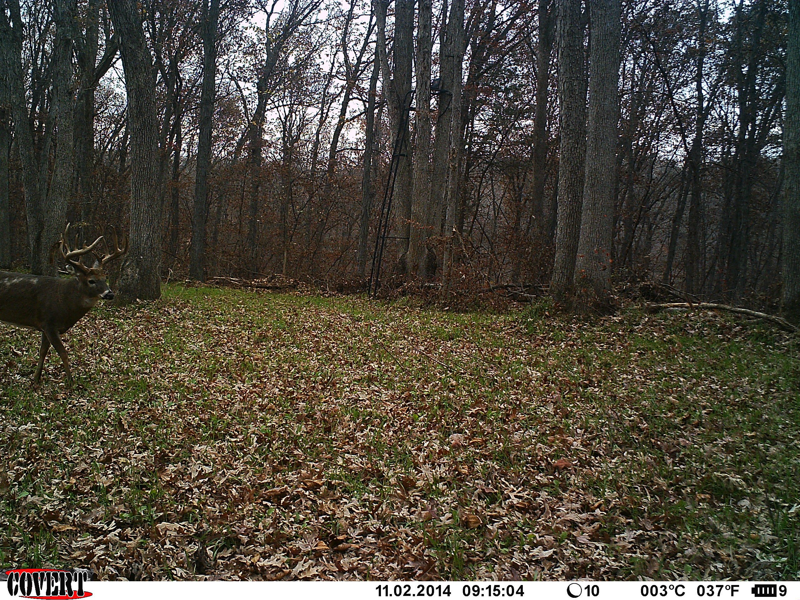 land-van-buren-county-iowa-1306-acres-listing-number-17013-IMAG0101 (1)-4.jpg