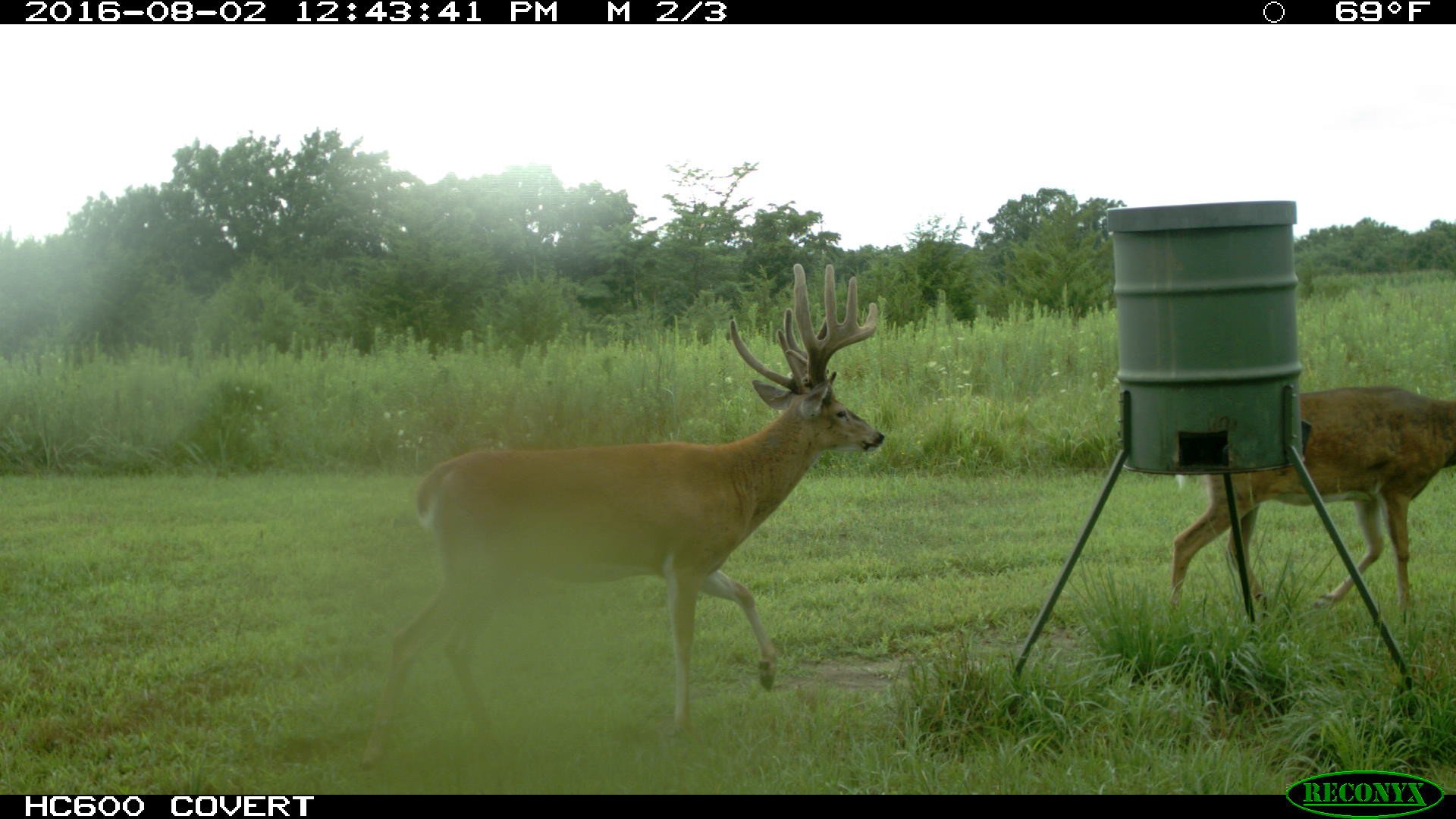 land-van-buren-county-iowa-1306-acres-listing-number-17013-IMG_3170-0.jpg