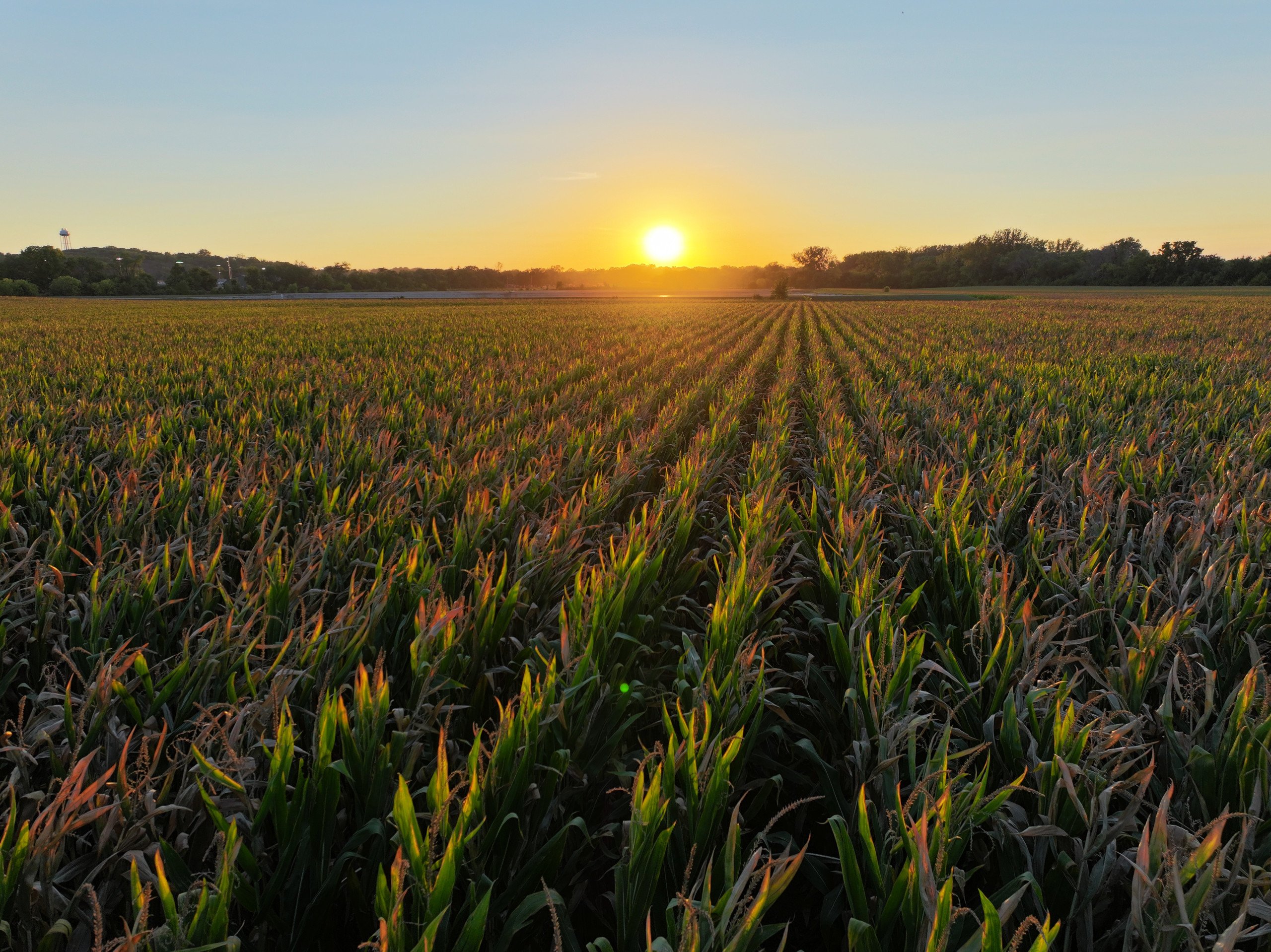 land-dallas-county-iowa-89-acres-listing-number-17014-Photo 1-7.jpg