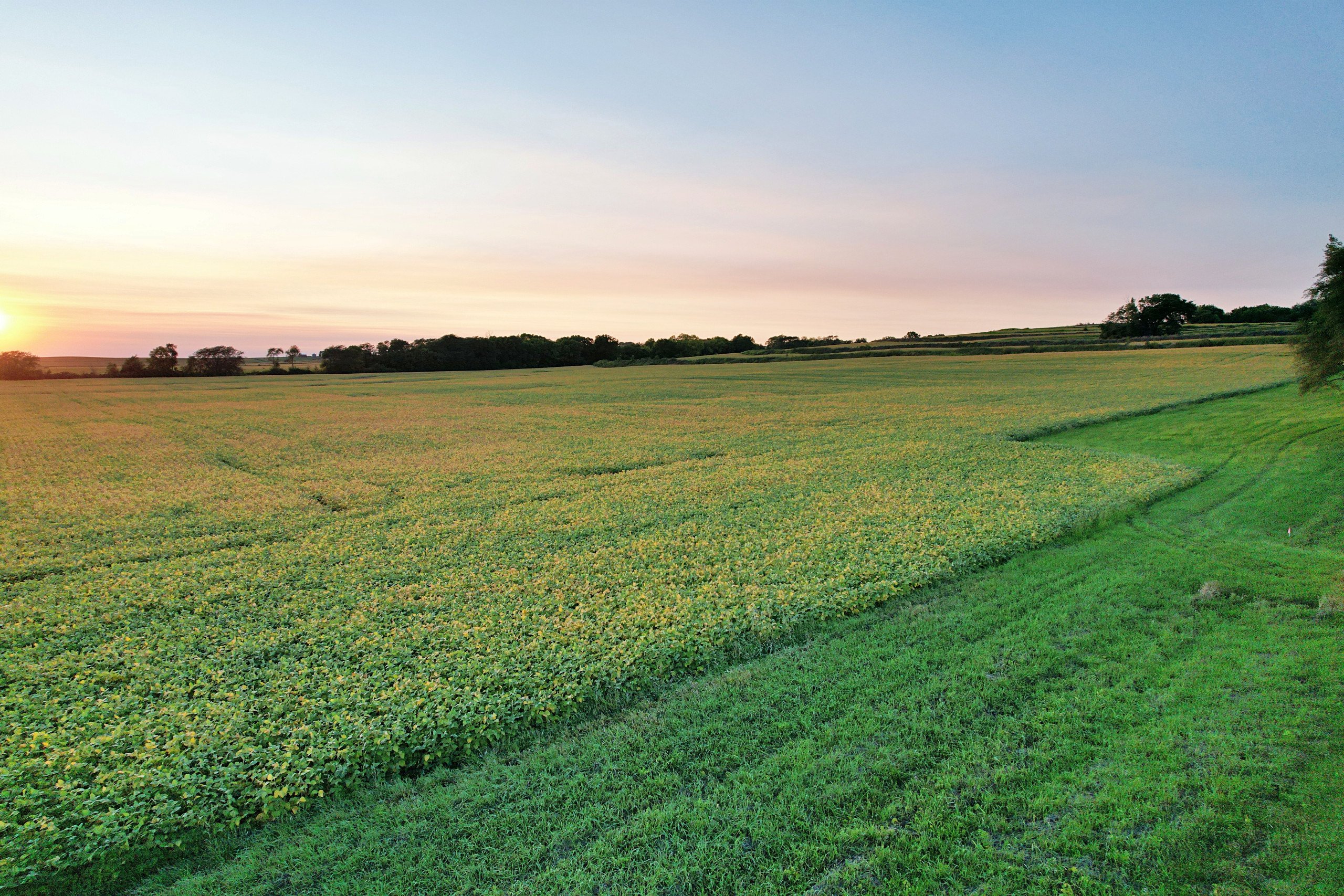 land-warren-county-iowa-20-acres-listing-number-17017-DroneDJI_0162 1-2.jpg