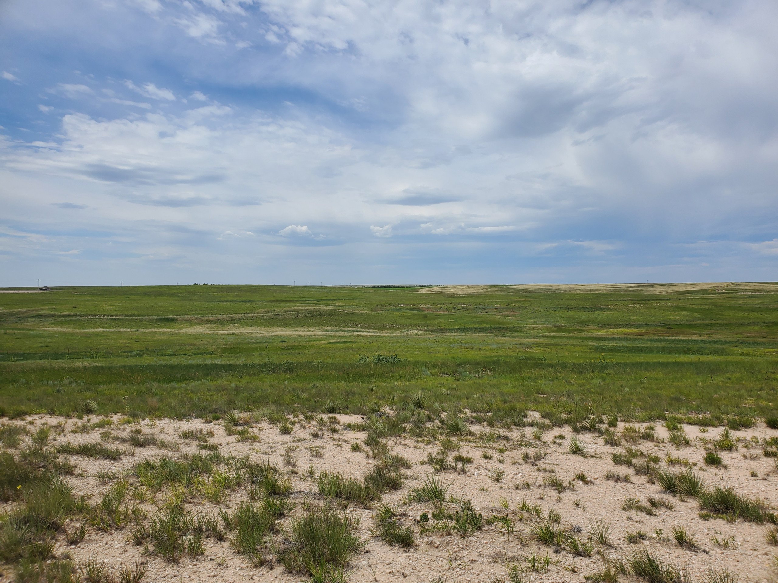 land-kimball-county-nebraska-149-acres-listing-number-17020-20230718_115826-2.jpg