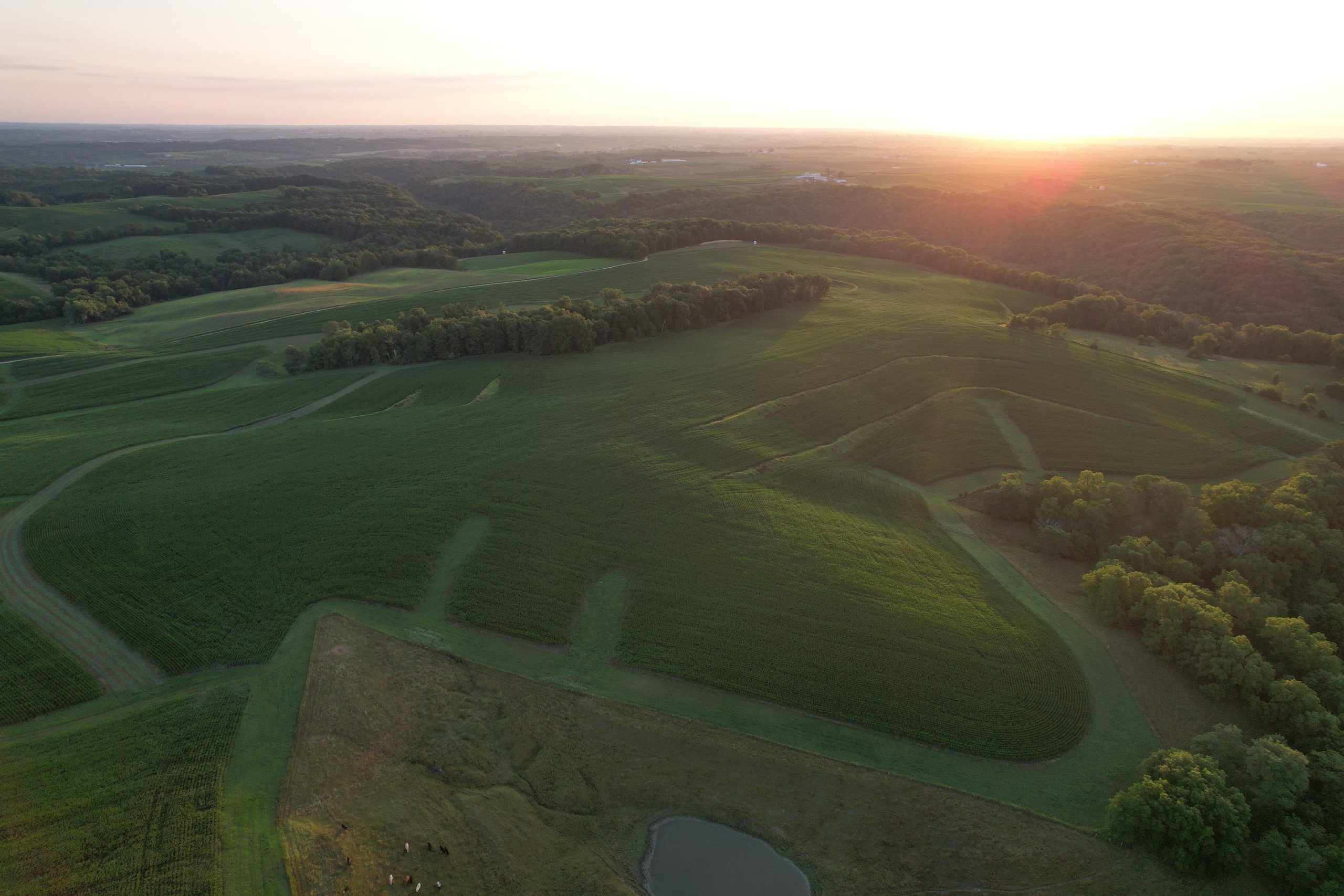 4-badger-road-cascade-52033-DJI_0728-0.jpg