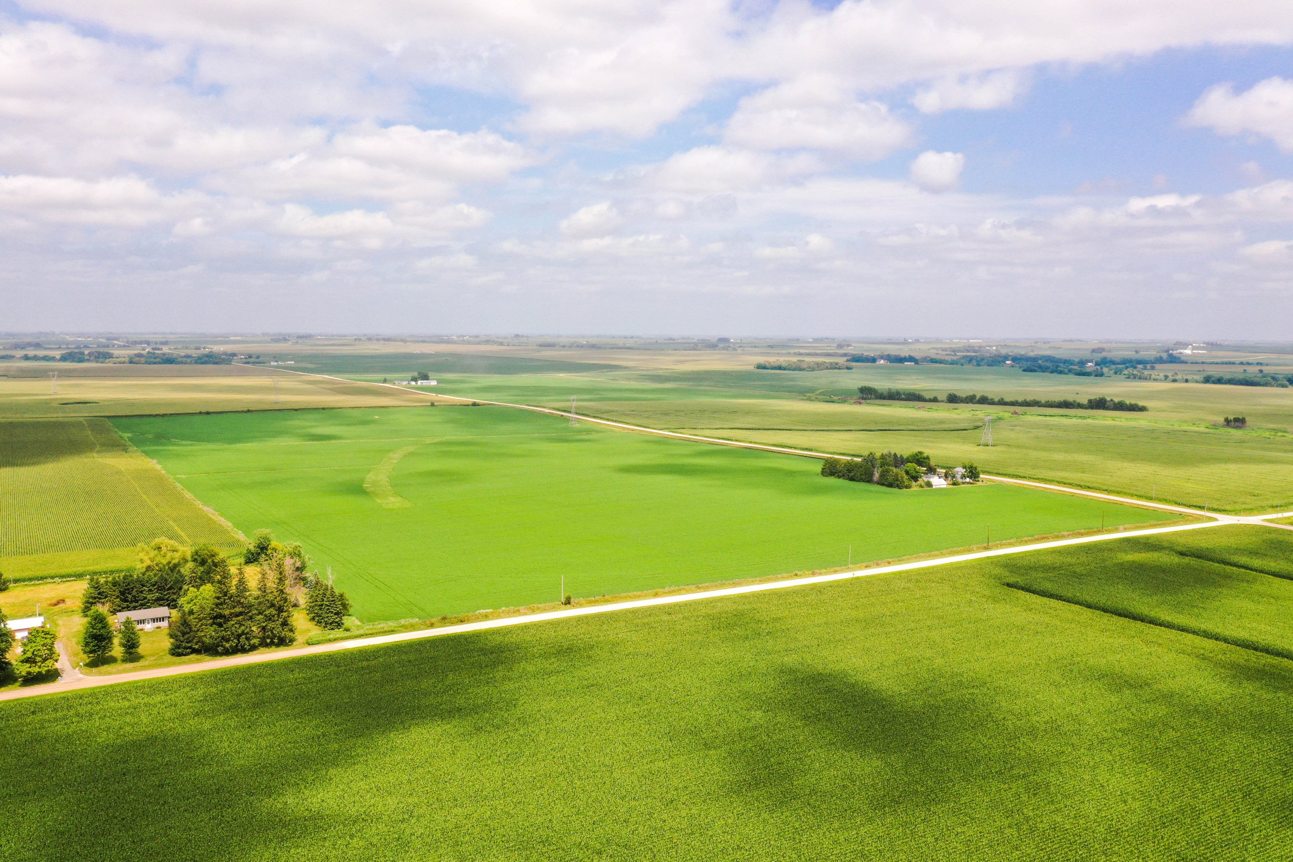 residential-auctions-land-fayette-county-iowa-80-acres-listing-number-17024-DJI_0513-0.jpg