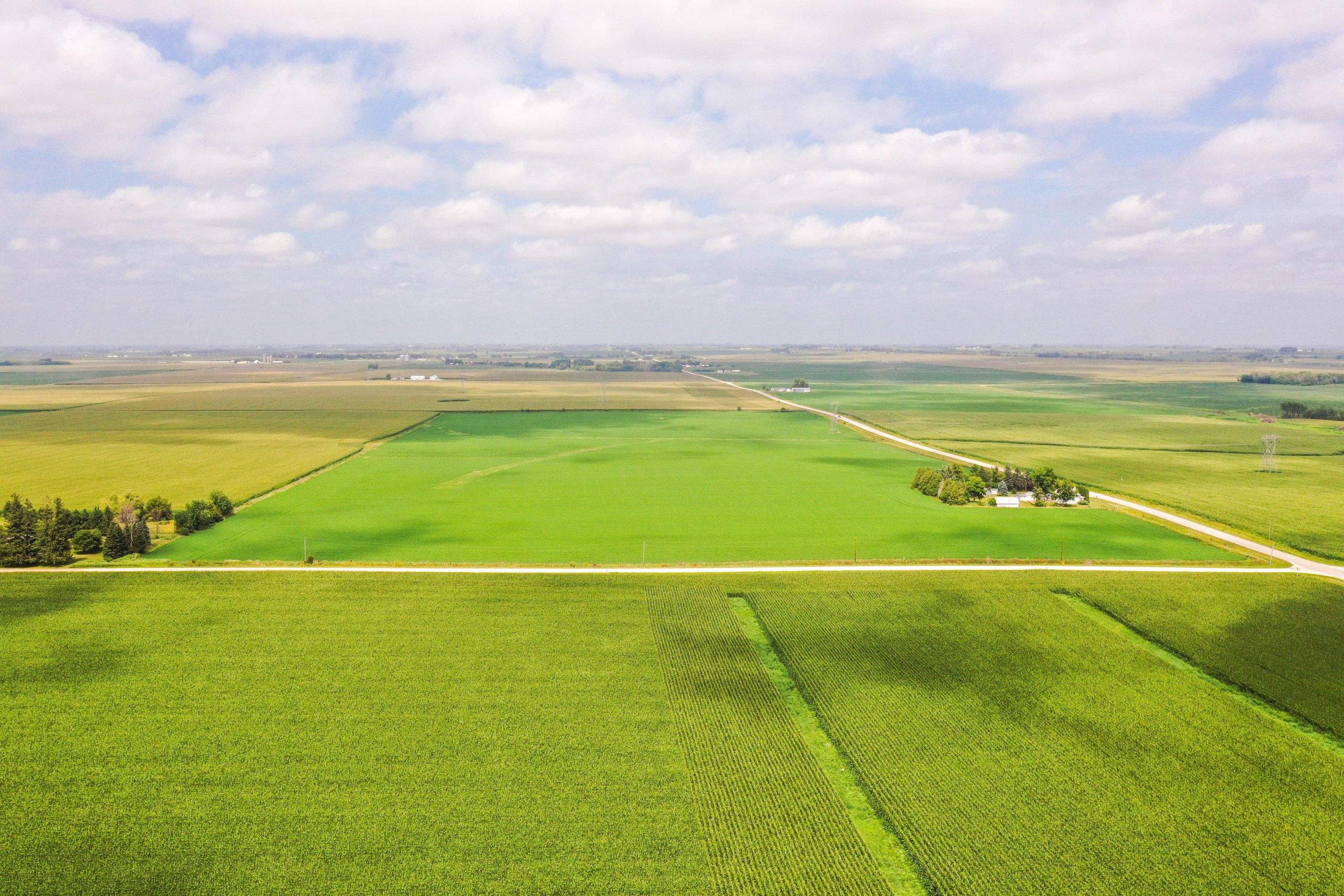 residential-auctions-land-fayette-county-iowa-80-acres-listing-number-17024-DJI_0514-1.jpg