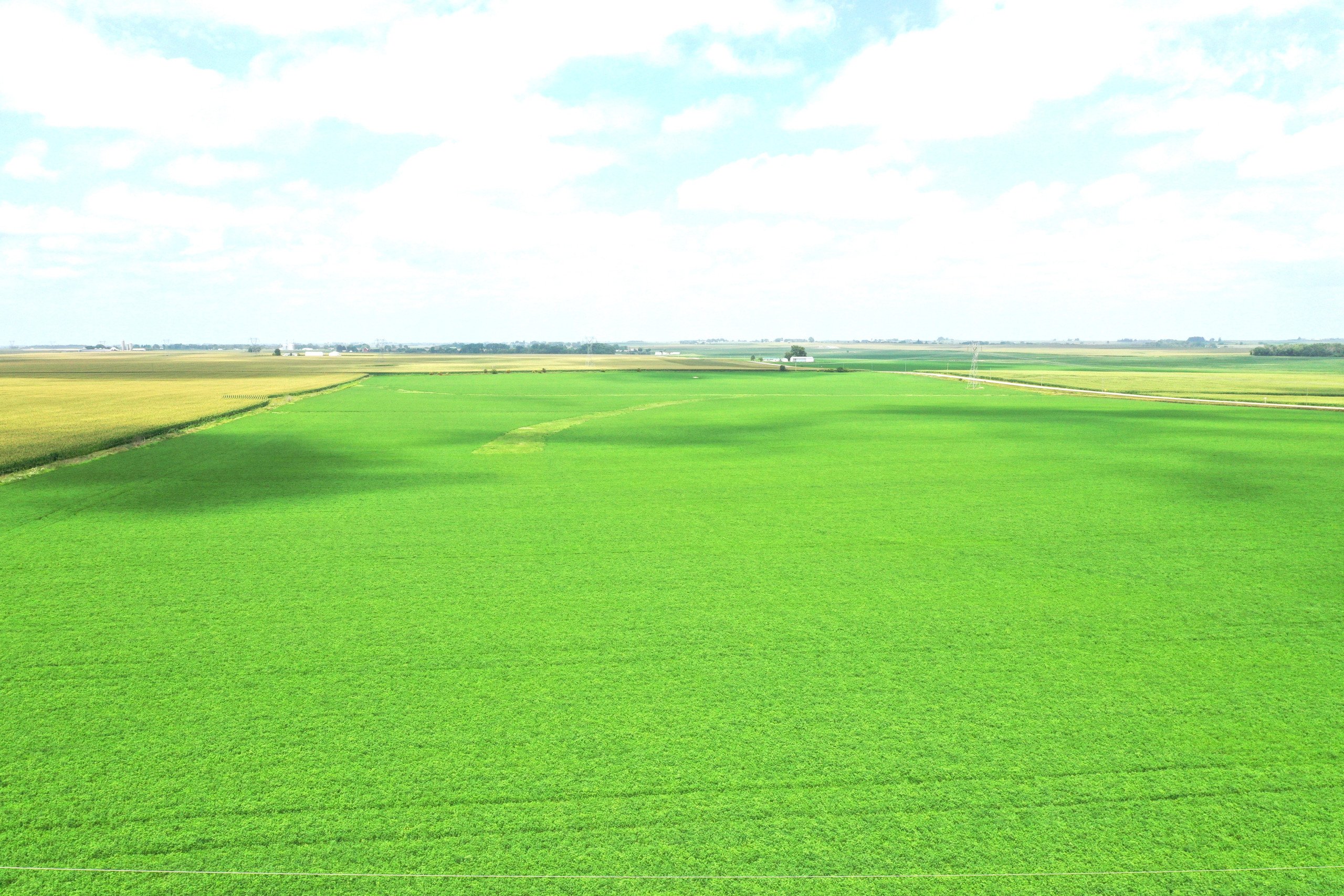 residential-auctions-land-fayette-county-iowa-80-acres-listing-number-17024-DJI_0534-5.jpg