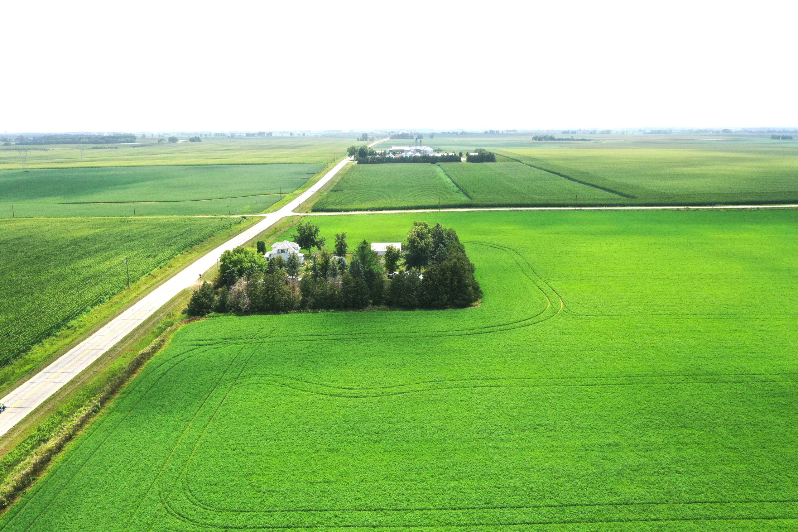 residential-auctions-land-fayette-county-iowa-80-acres-listing-number-17024-DJI_0541-7.jpg
