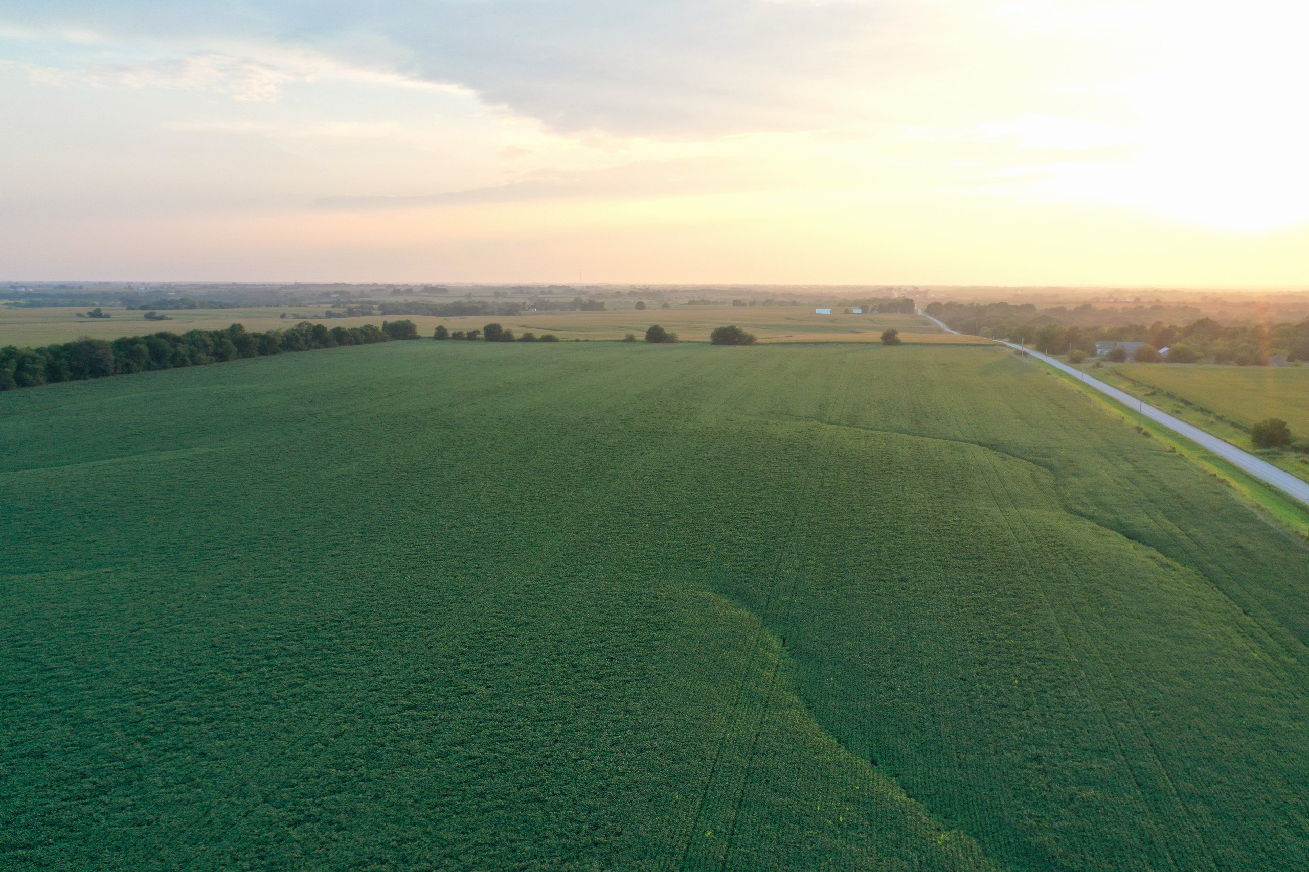 69.5 Acres for Sale Warren County, Iowa Highly Tillable