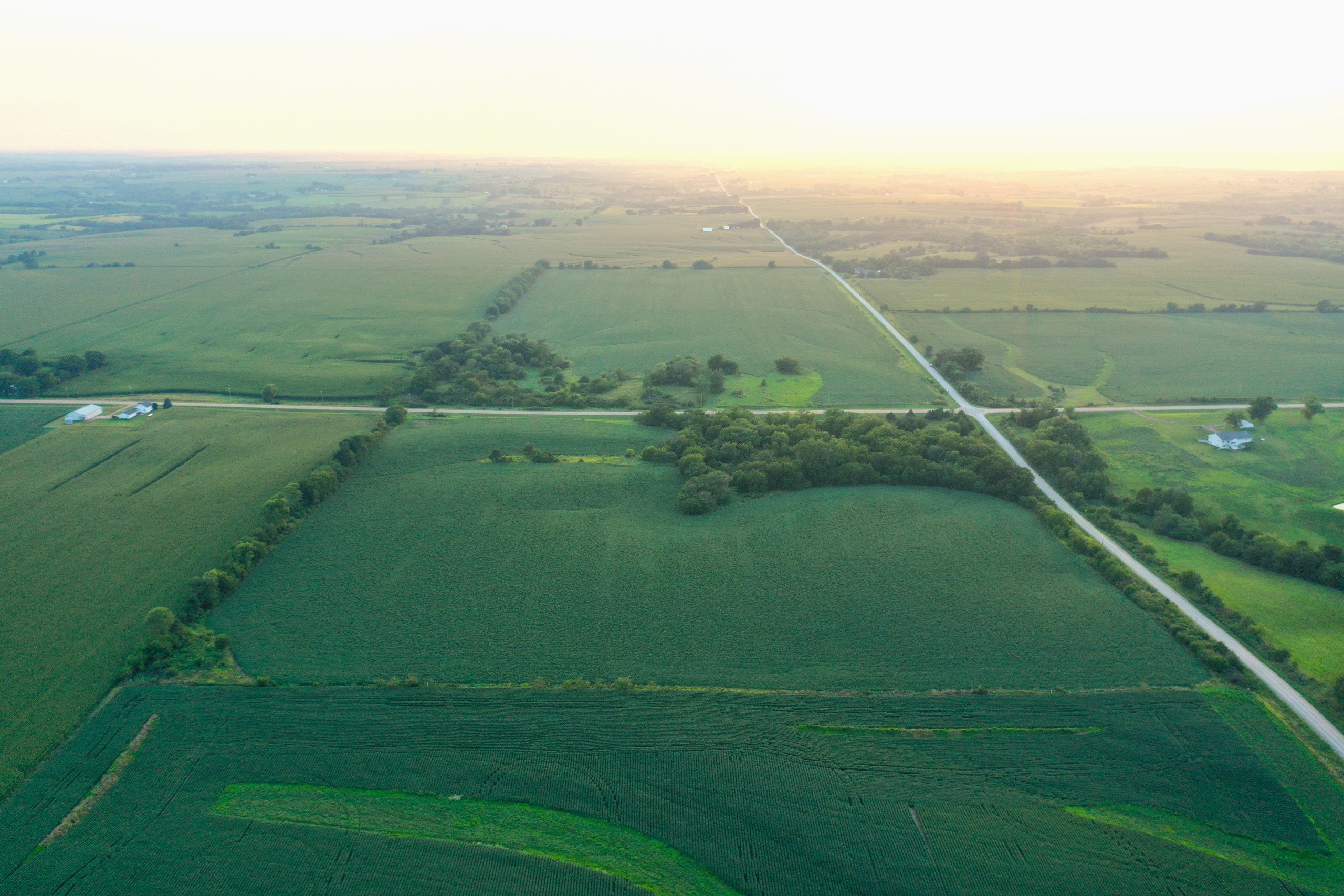 Highly Tillable 30 Acres for Sale Warren County, Iowa