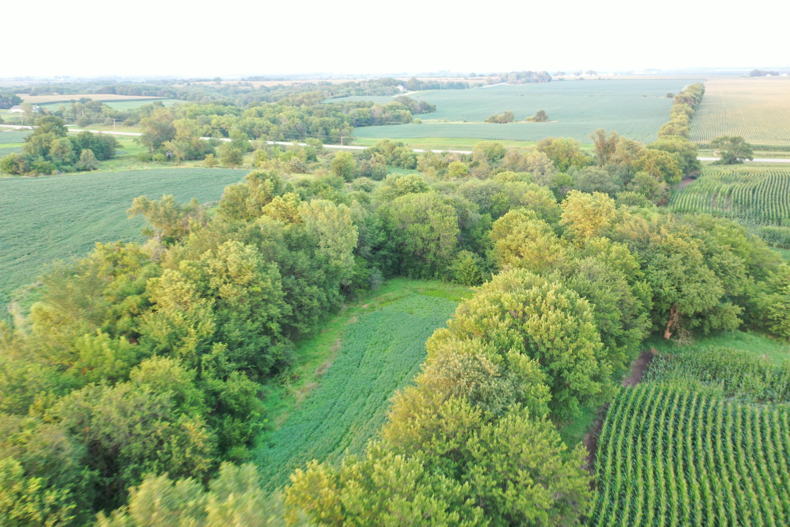 10.5 Acre building Site in Warren County, Iowa