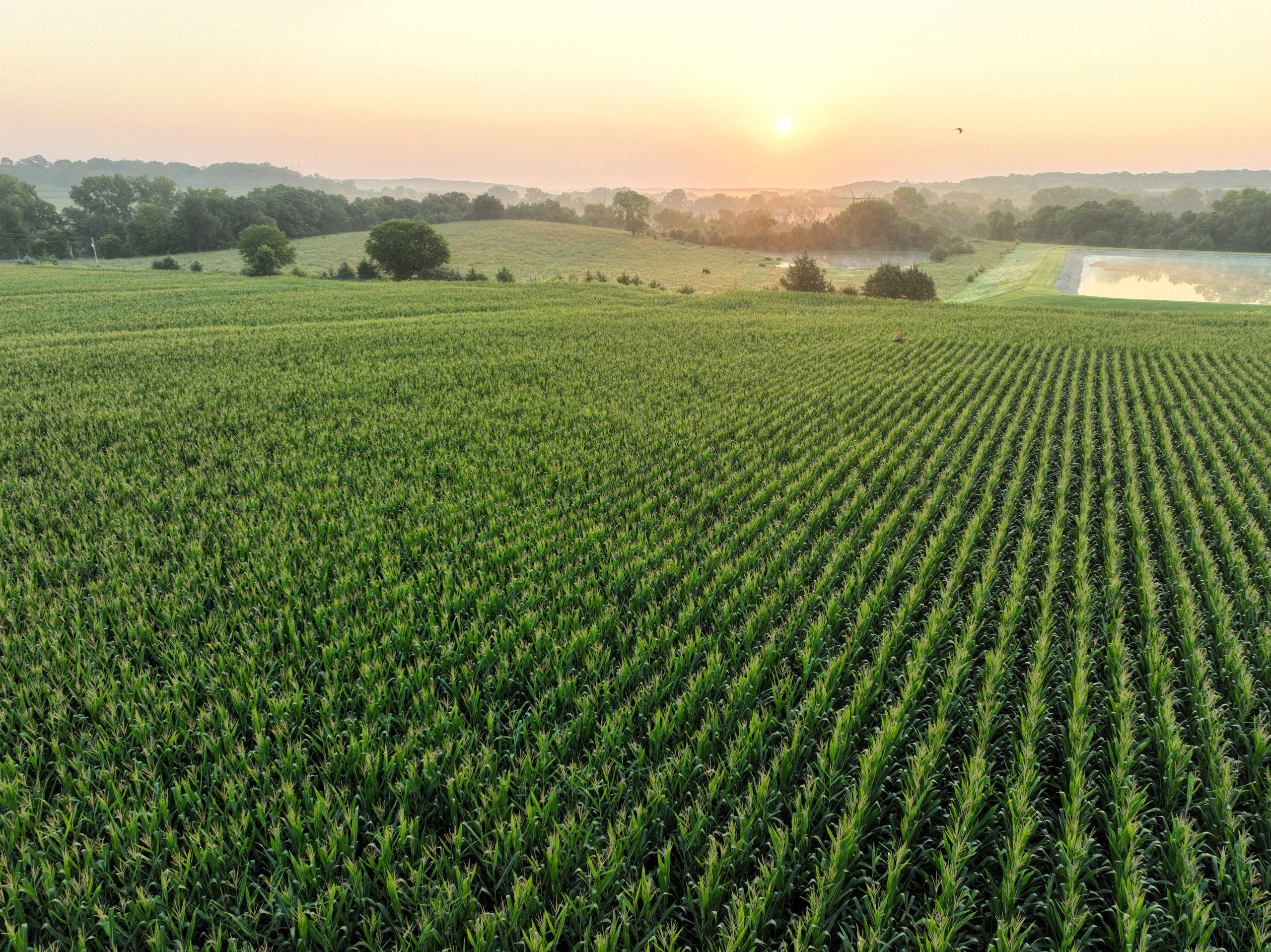 madison-county-iowa-27-acres-listing-number-17031-6-0.jpg