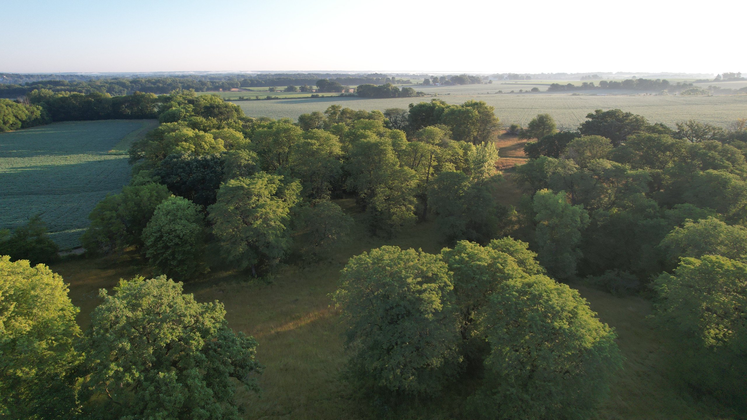 land-warren-county-iowa-7-acres-listing-number-17042-DJI_0258-7.jpg