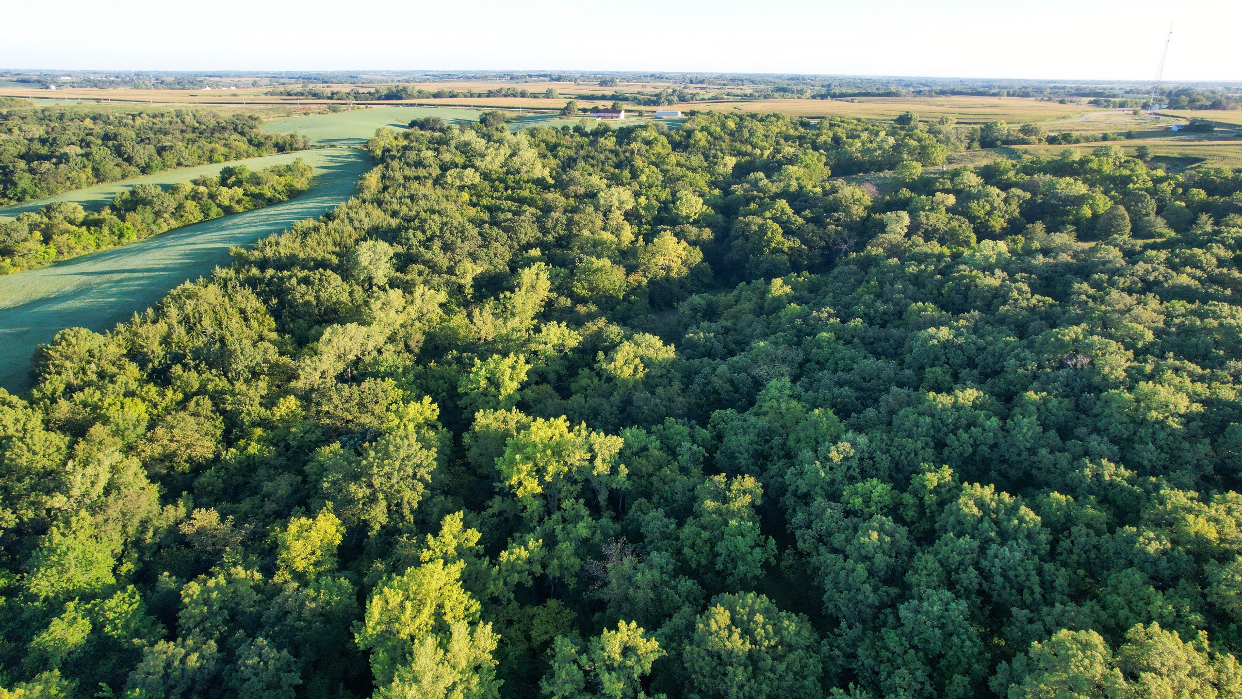 land-warren-county-iowa-7-acres-listing-number-17050-DJI_0225-1.jpg