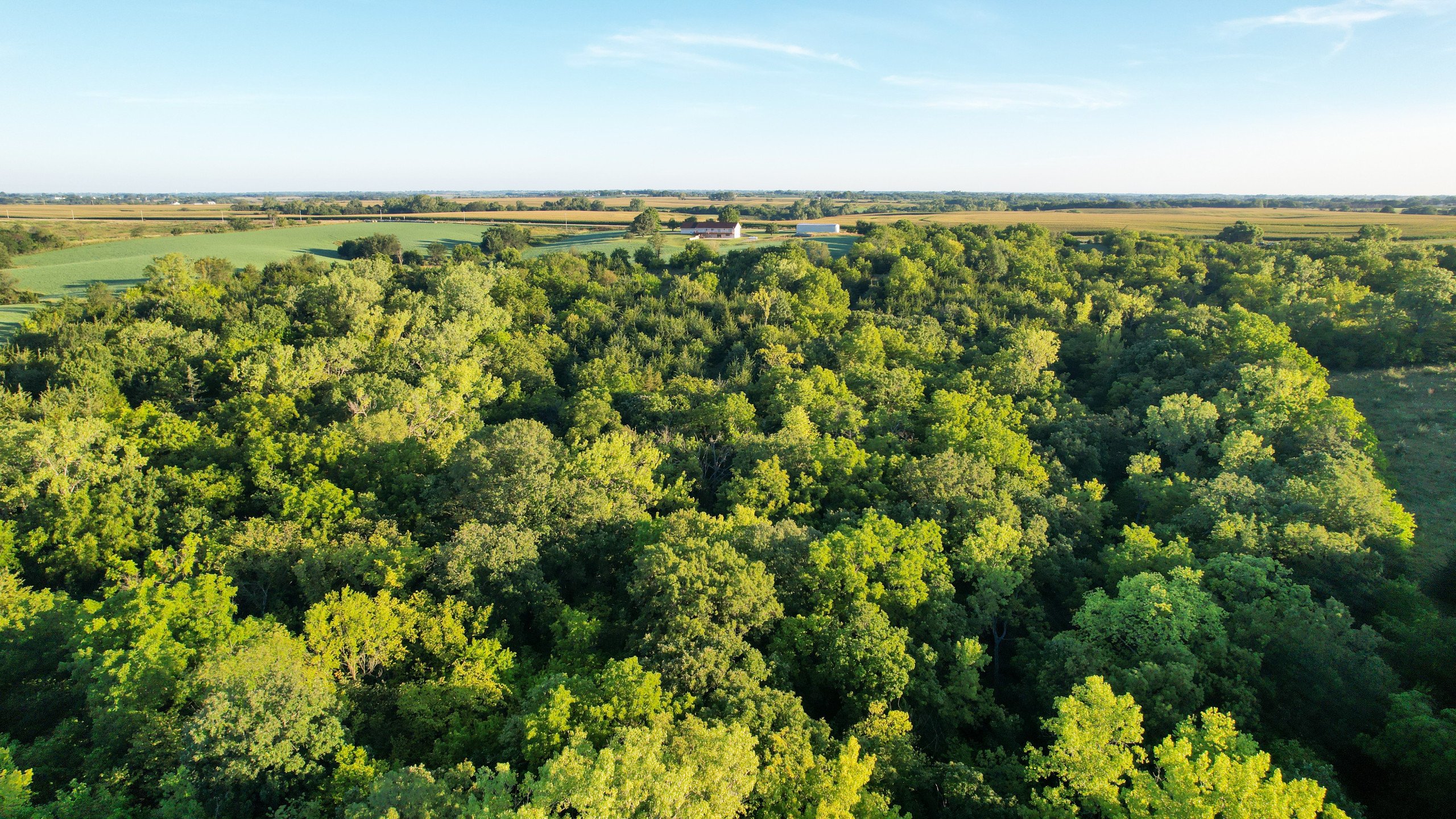 land-warren-county-iowa-7-acres-listing-number-17050-DJI_0228-2.jpg