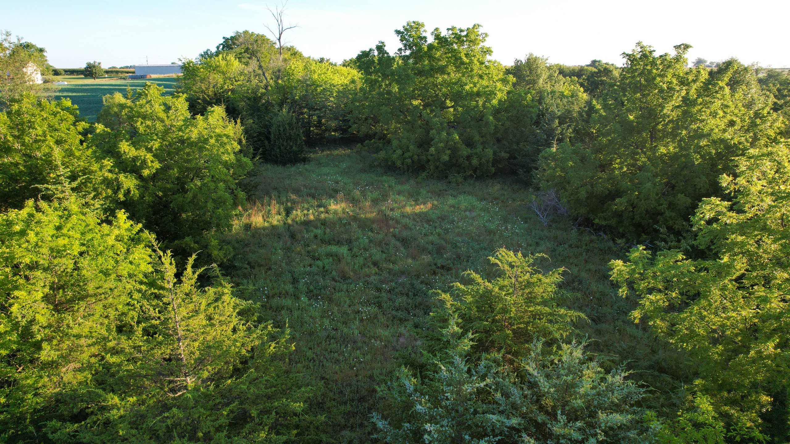 land-warren-county-iowa-7-acres-listing-number-17050-DJI_0235-0.jpg