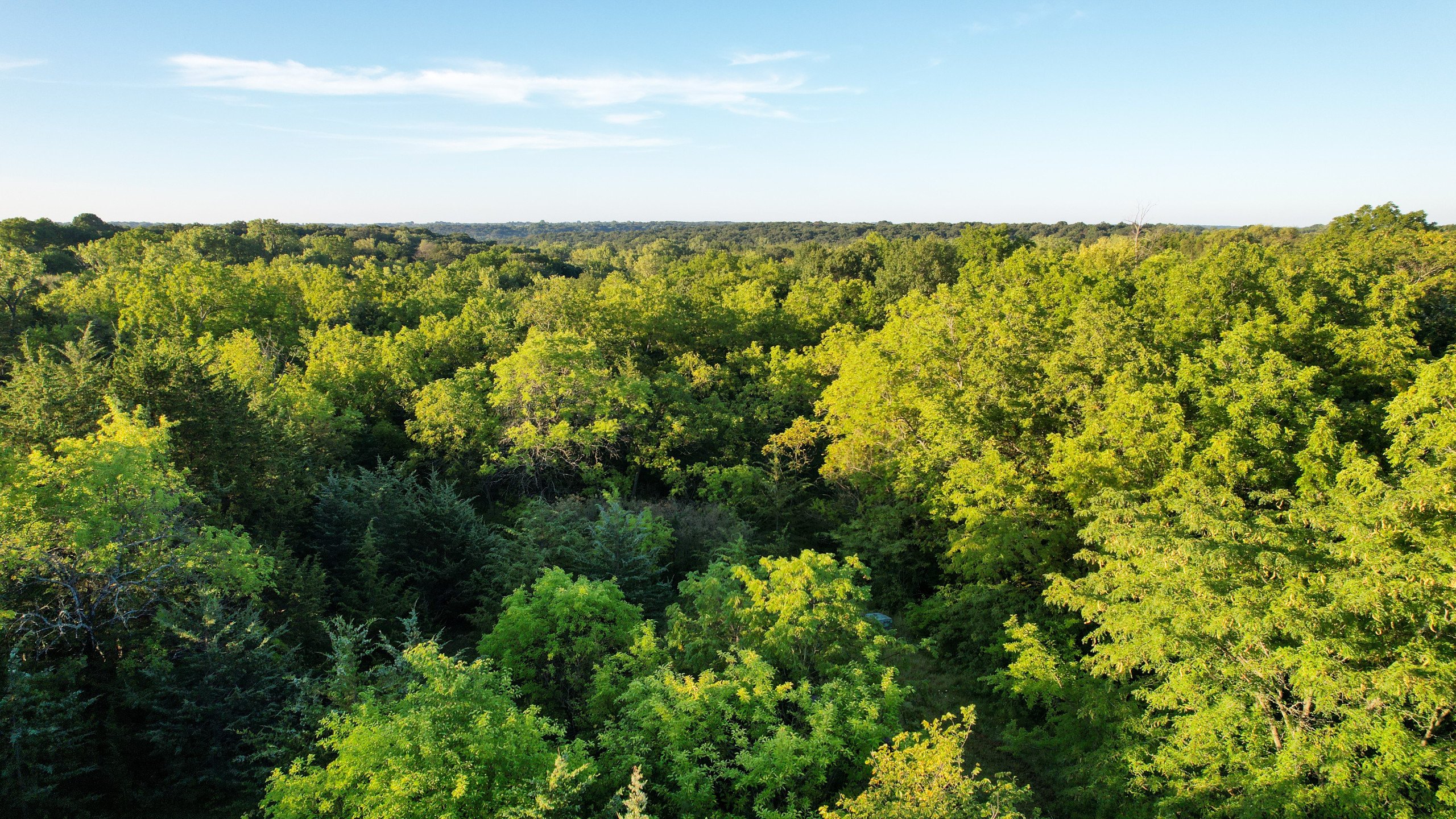 land-warren-county-iowa-7-acres-listing-number-17050-DJI_0240-3.jpg