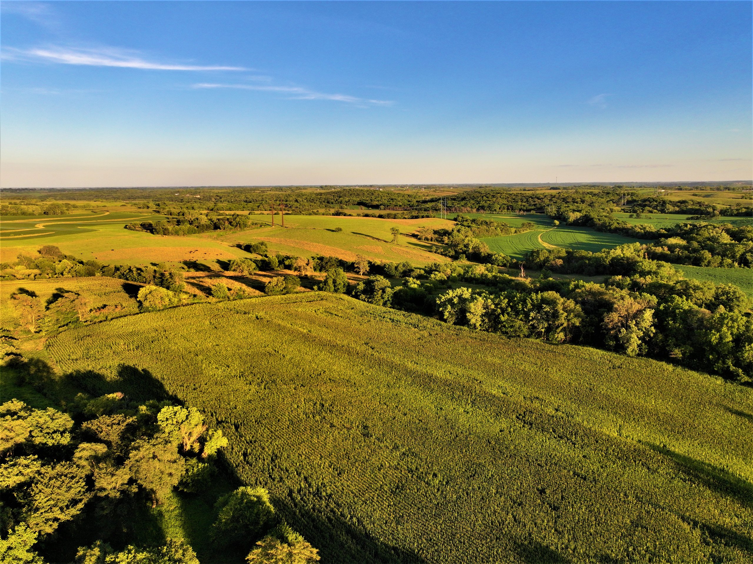 land-madison-county-iowa-26-acres-listing-number-17052-14-3.jpg