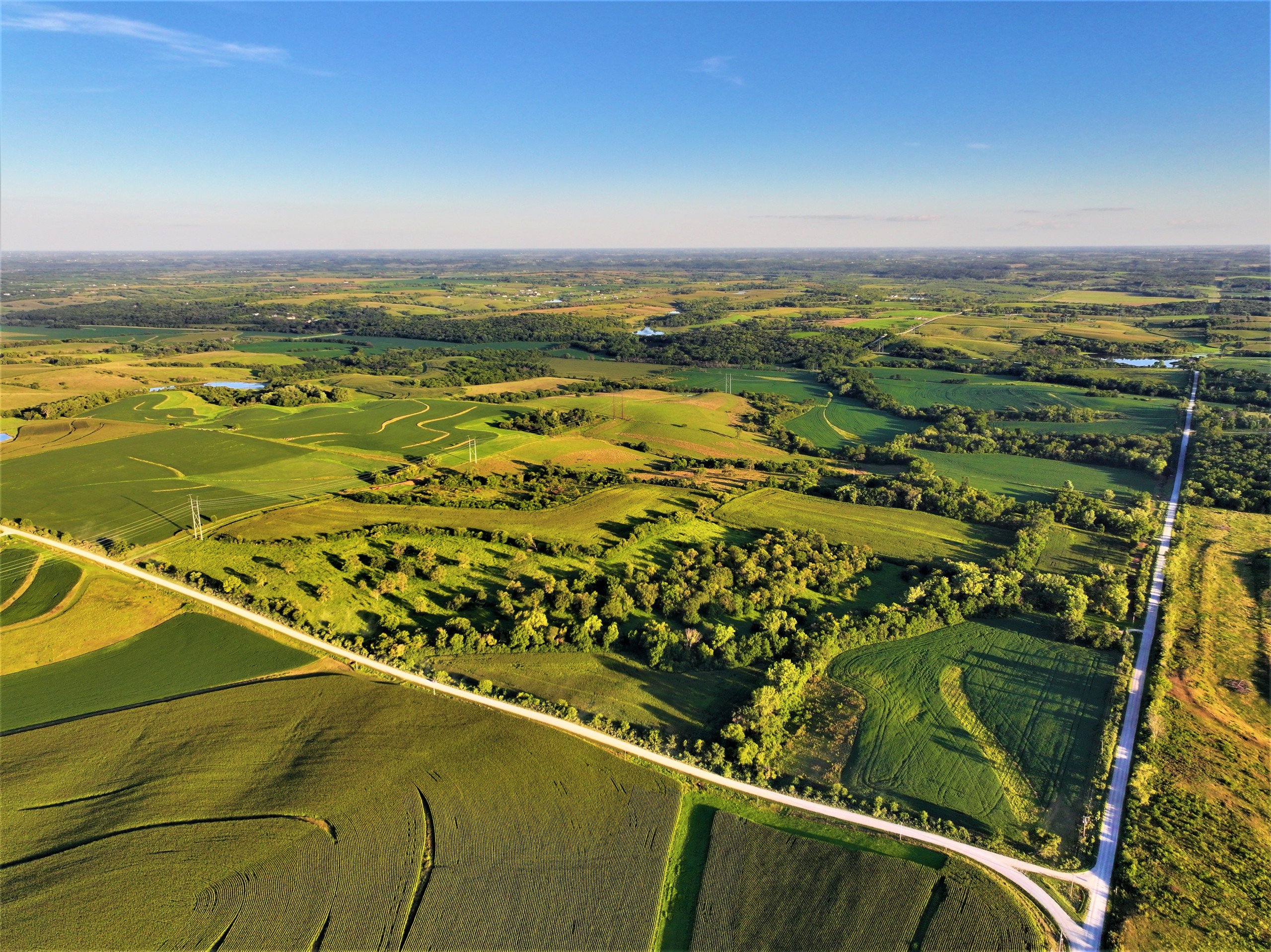 land-madison-county-iowa-80-acres-listing-number-17053-1-0.jpg