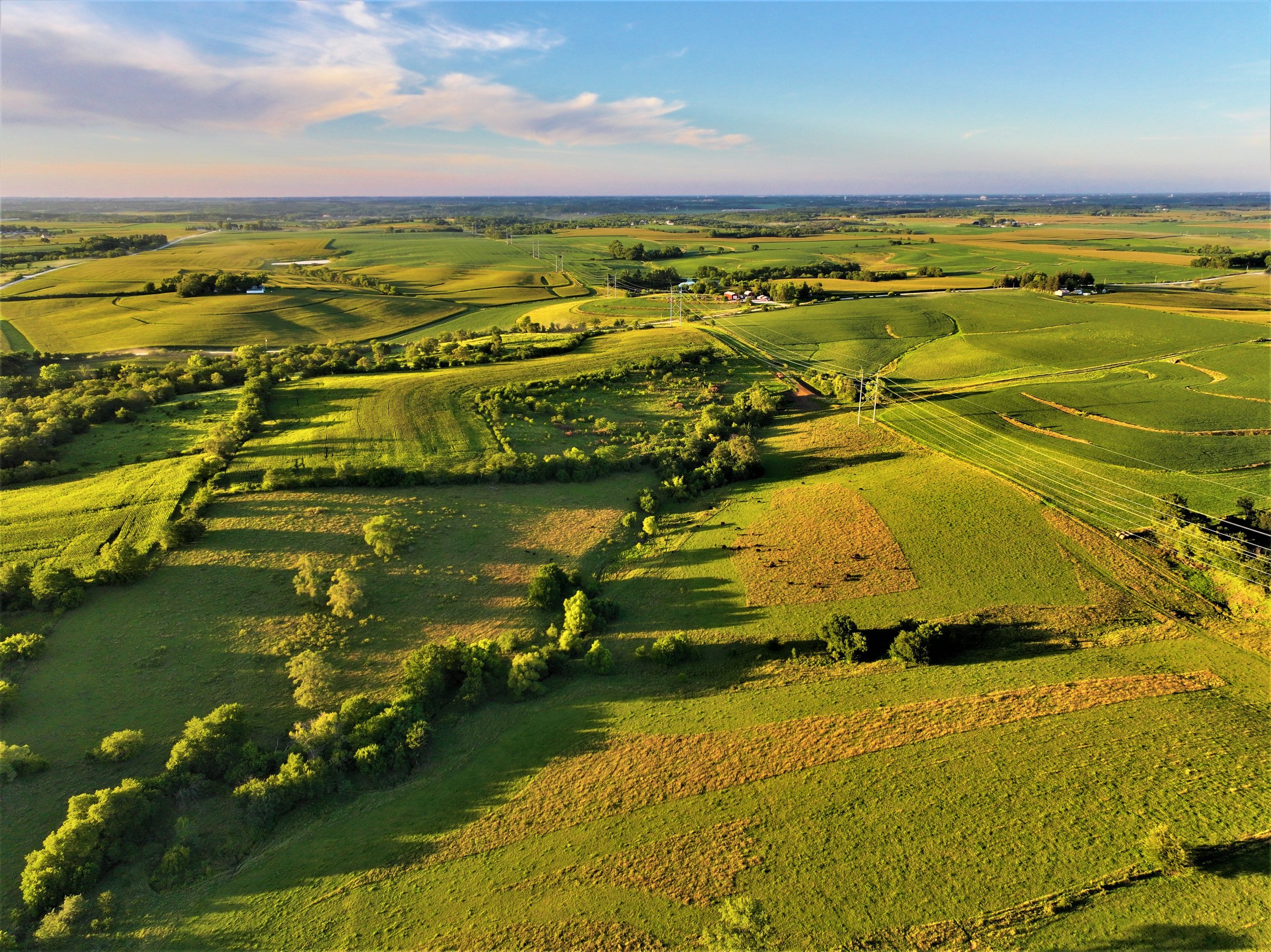 land-madison-county-iowa-80-acres-listing-number-17053-10-2.jpg