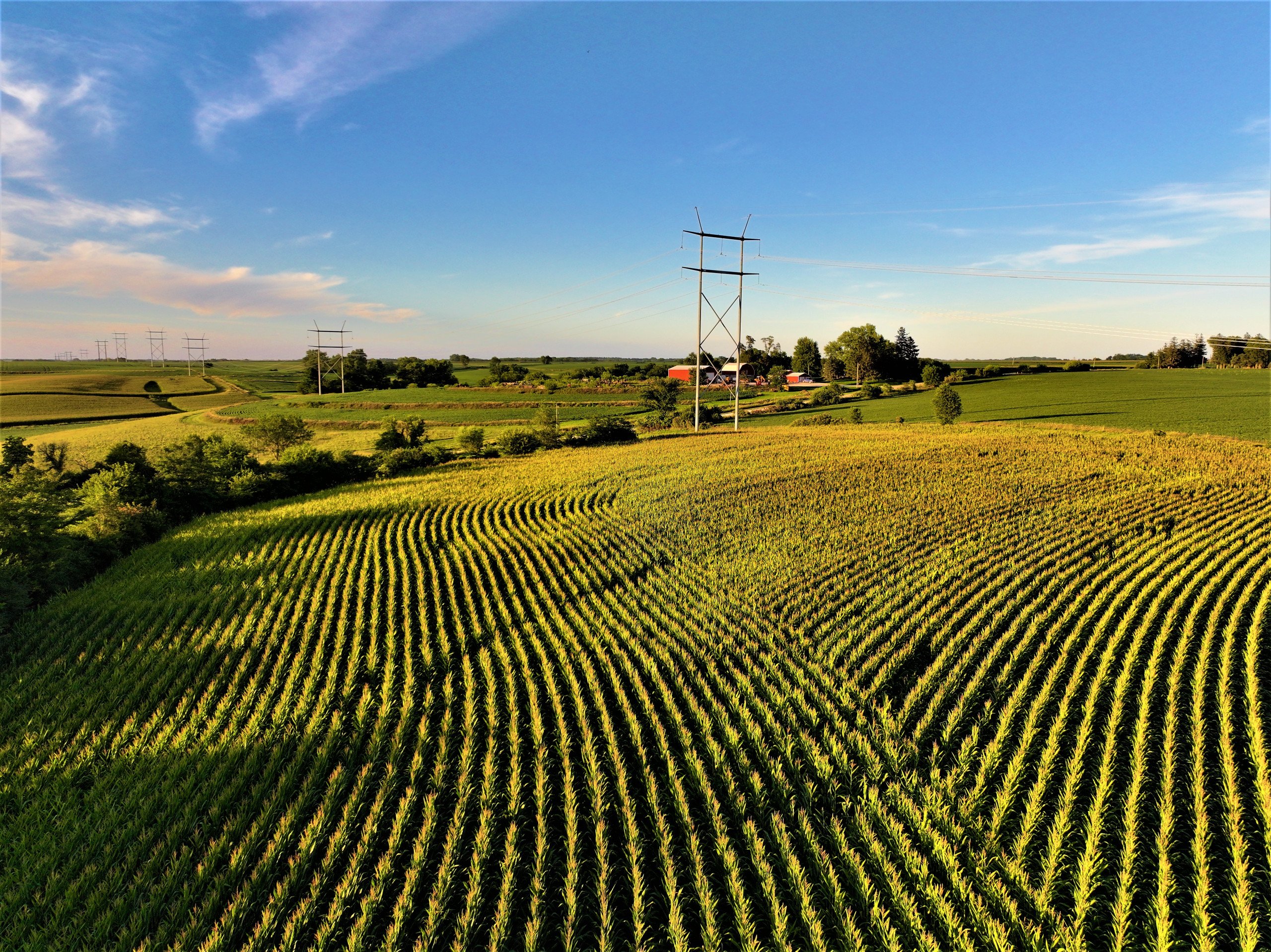 land-madison-county-iowa-80-acres-listing-number-17053-12-0.jpg