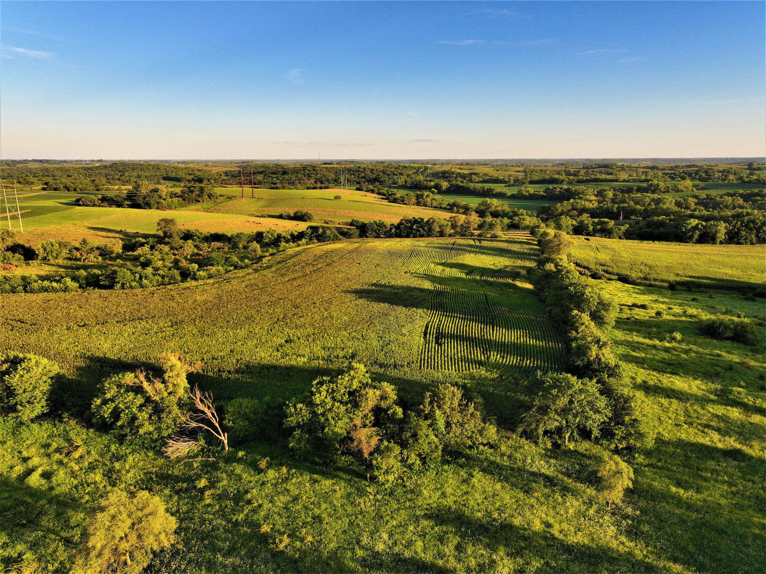 land-madison-county-iowa-80-acres-listing-number-17053-14-2.jpg