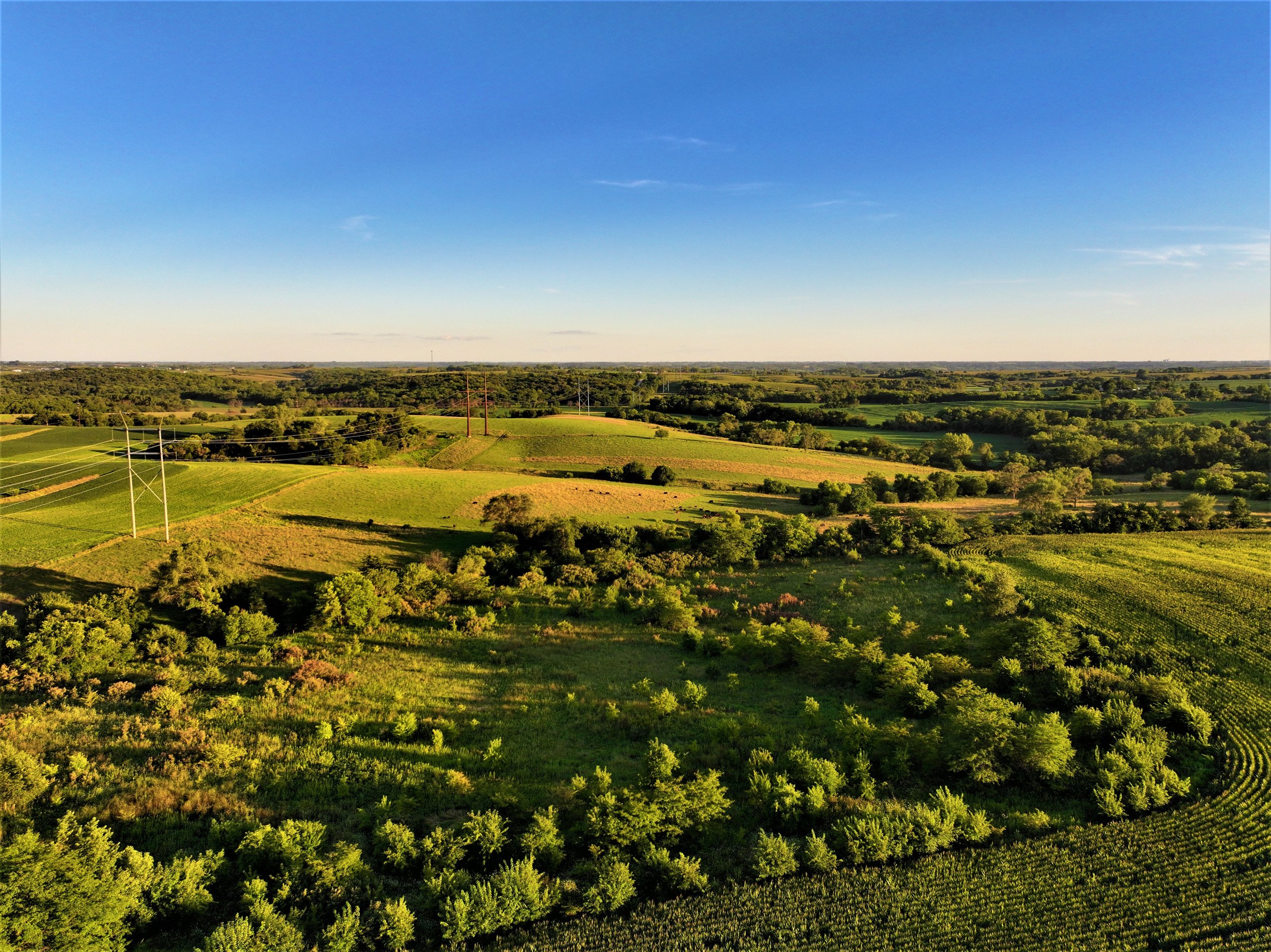 land-madison-county-iowa-80-acres-listing-number-17053-16-4.jpg