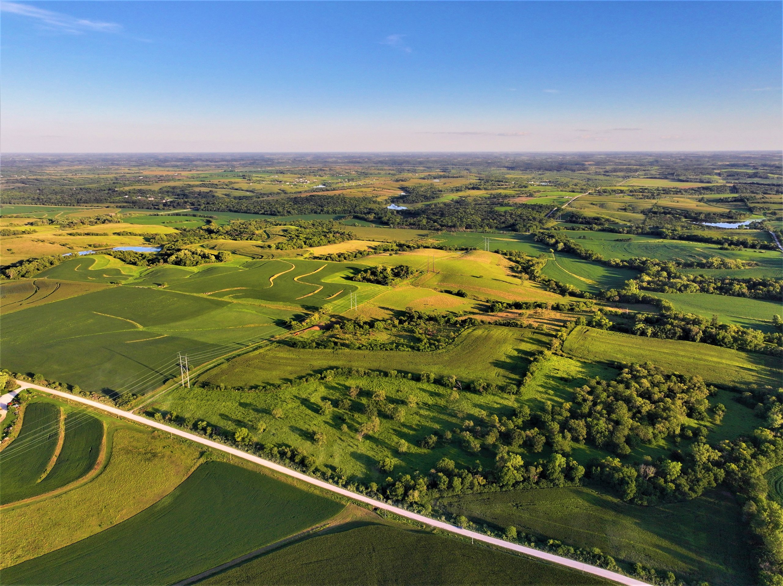 land-madison-county-iowa-80-acres-listing-number-17053-2-1.jpg