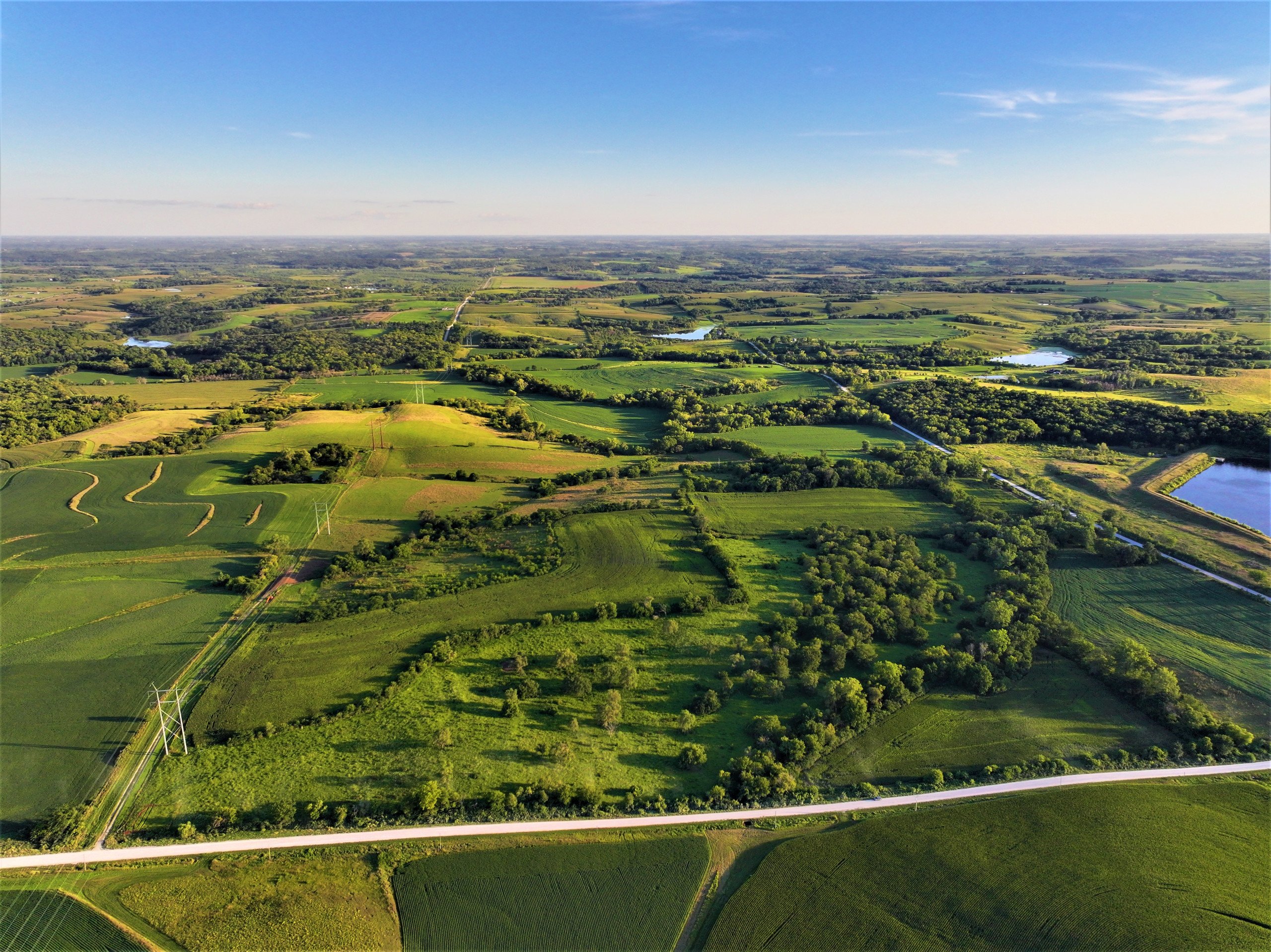 land-madison-county-iowa-80-acres-listing-number-17053-3-2.jpg