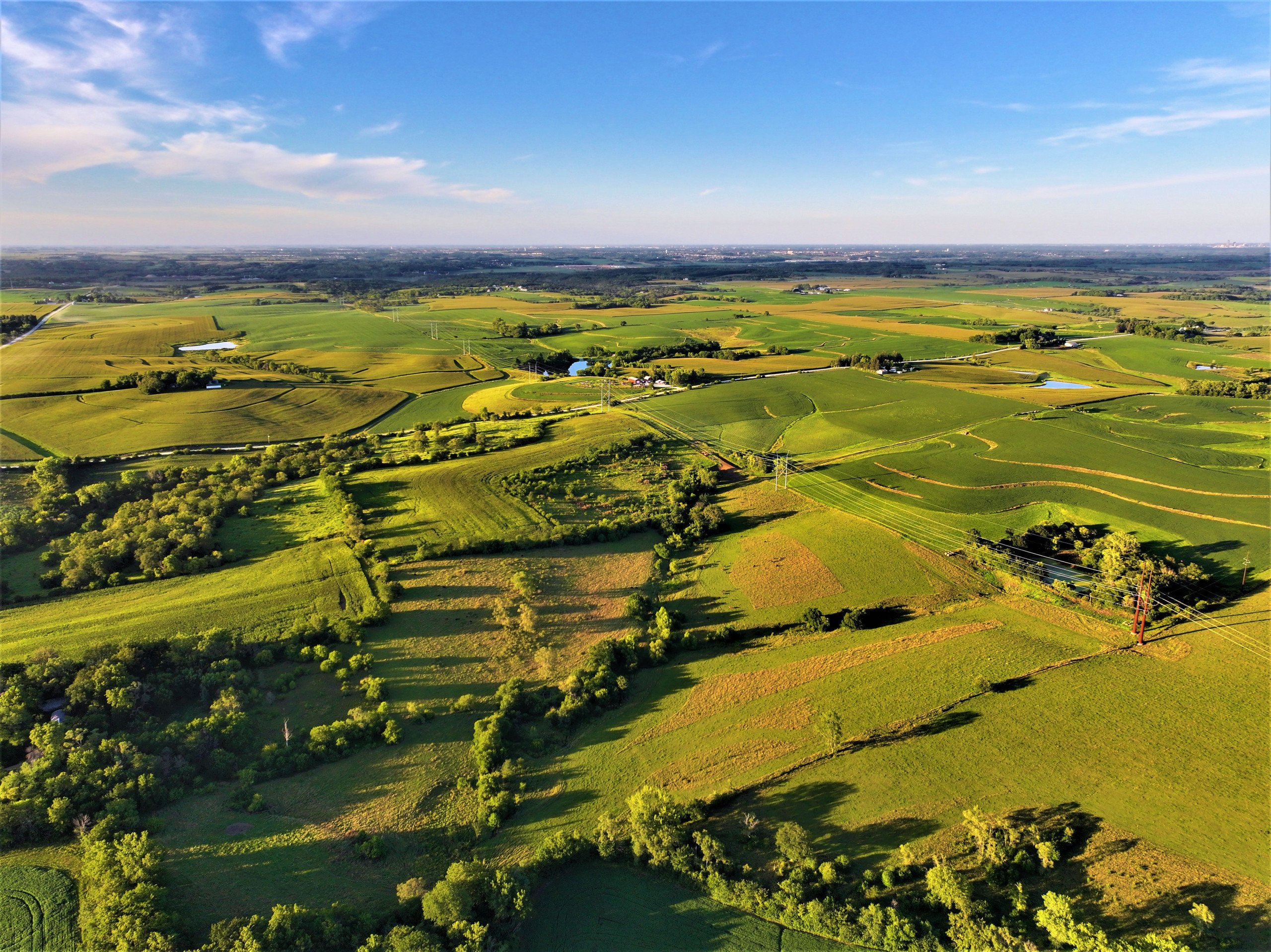 land-madison-county-iowa-80-acres-listing-number-17053-8-0.jpg