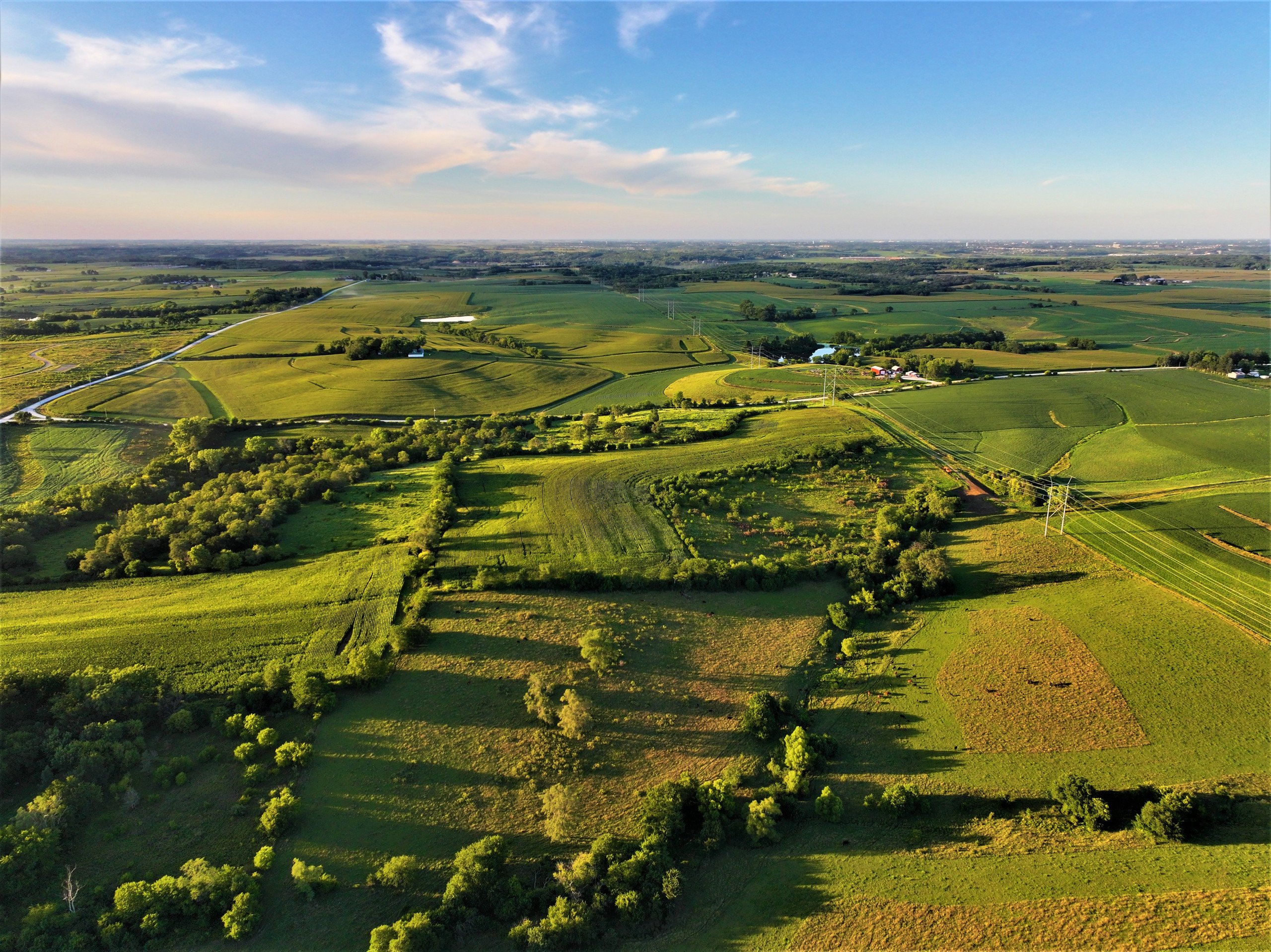 land-madison-county-iowa-80-acres-listing-number-17053-9-1.jpg