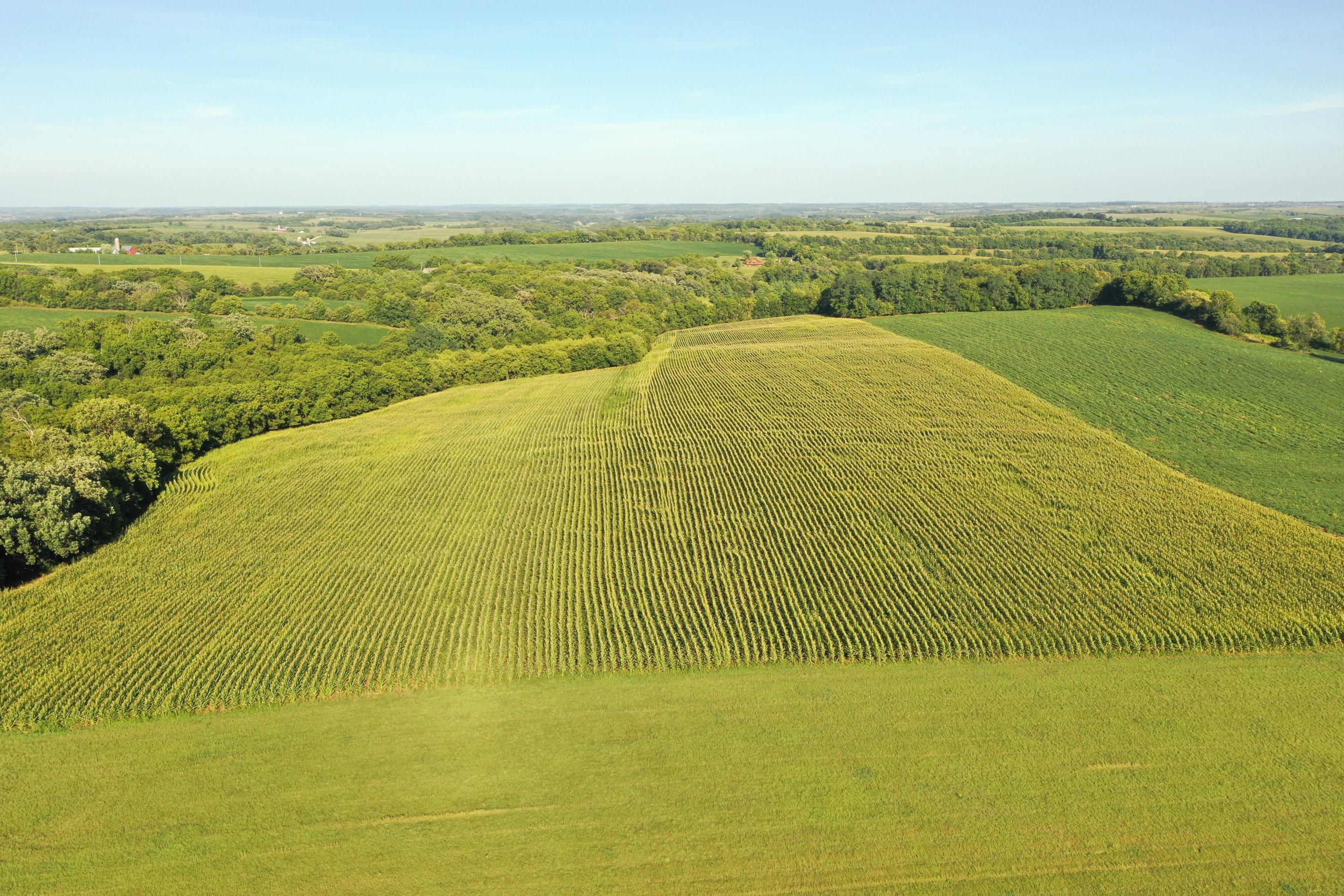 green-county-wisconsin-217-acres-listing-number-17055-DJI_0142-0.jpg