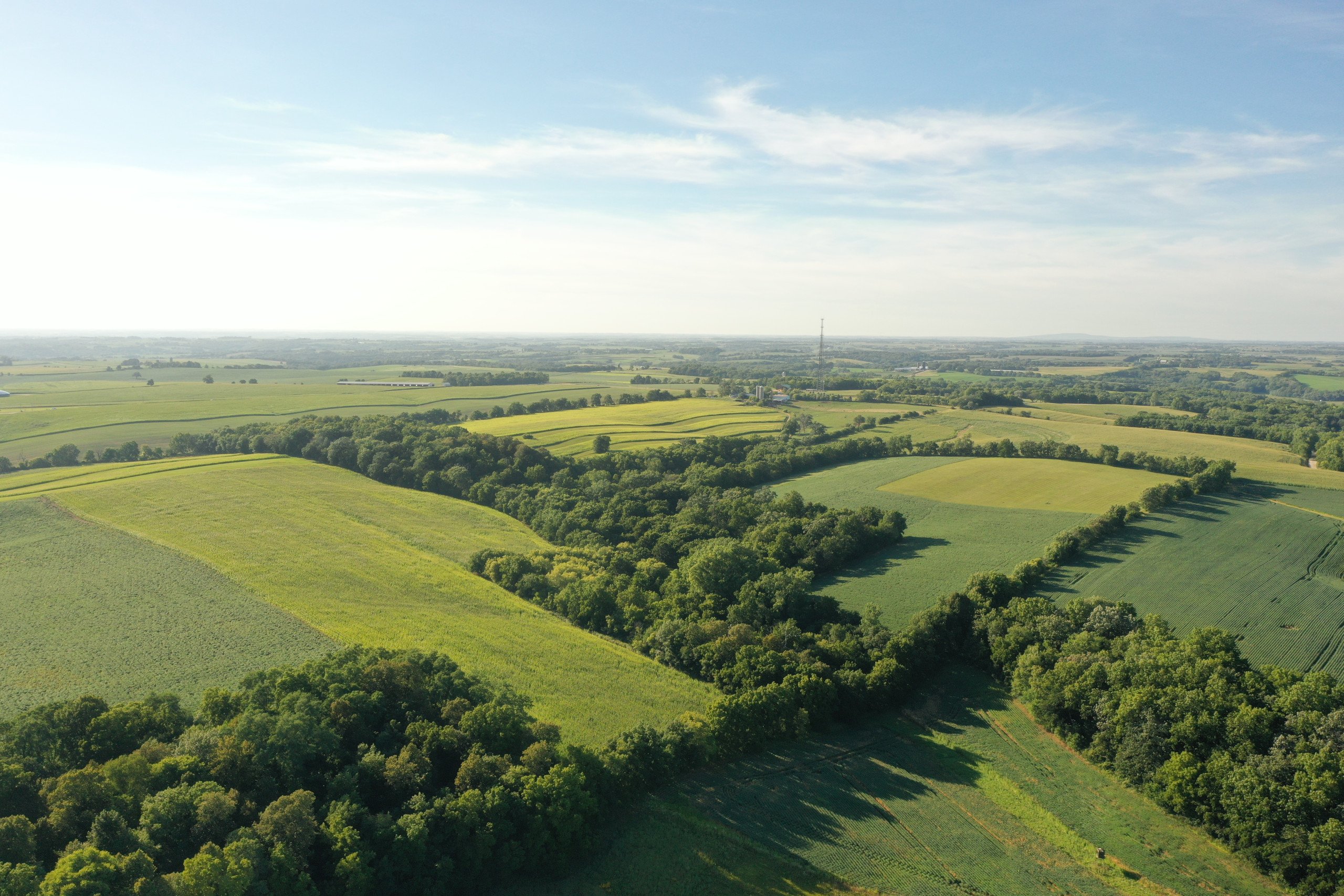 green-county-wisconsin-217-acres-listing-number-17055-DJI_0148-1.jpg