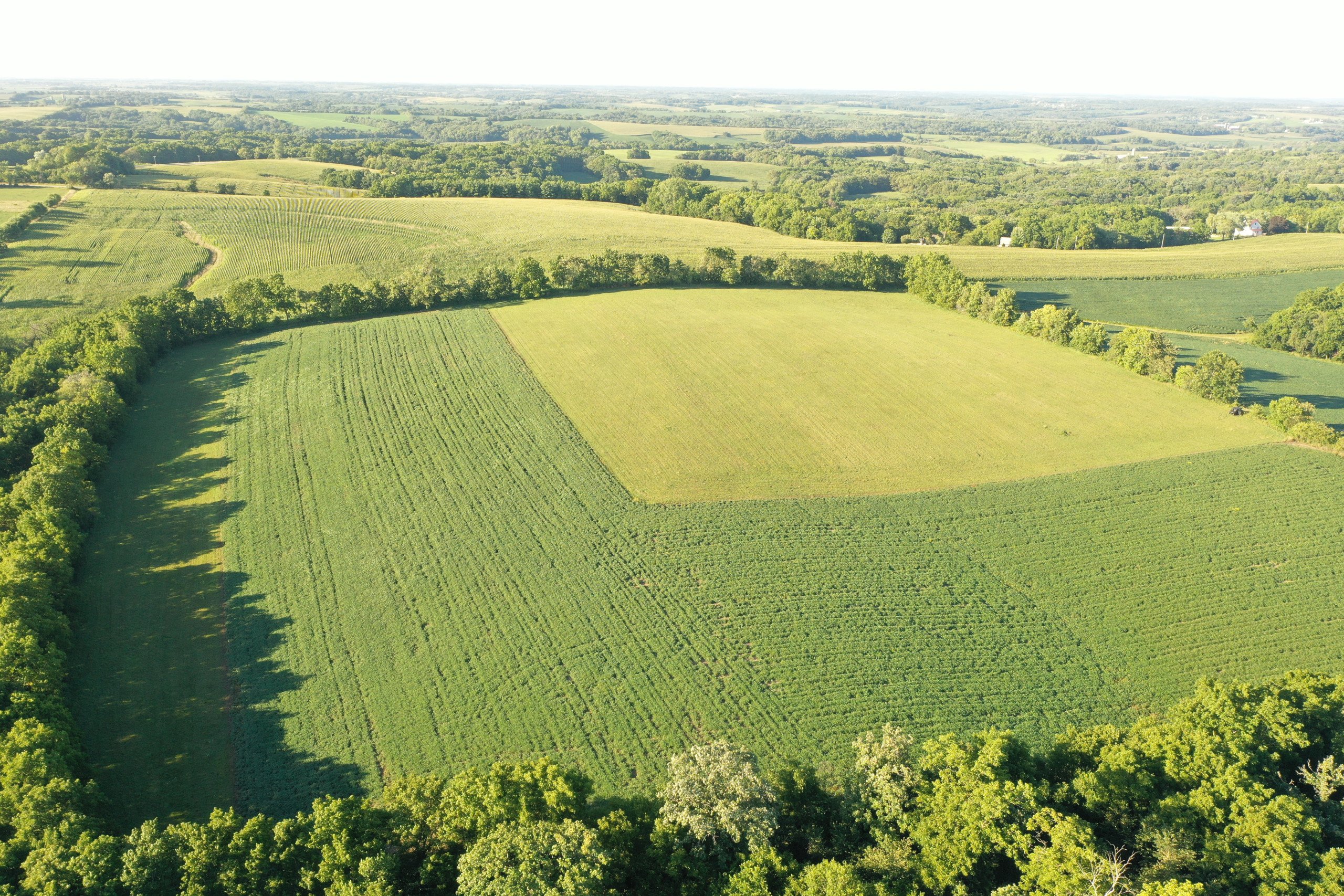 green-county-wisconsin-217-acres-listing-number-17055-DJI_0180-3.jpg