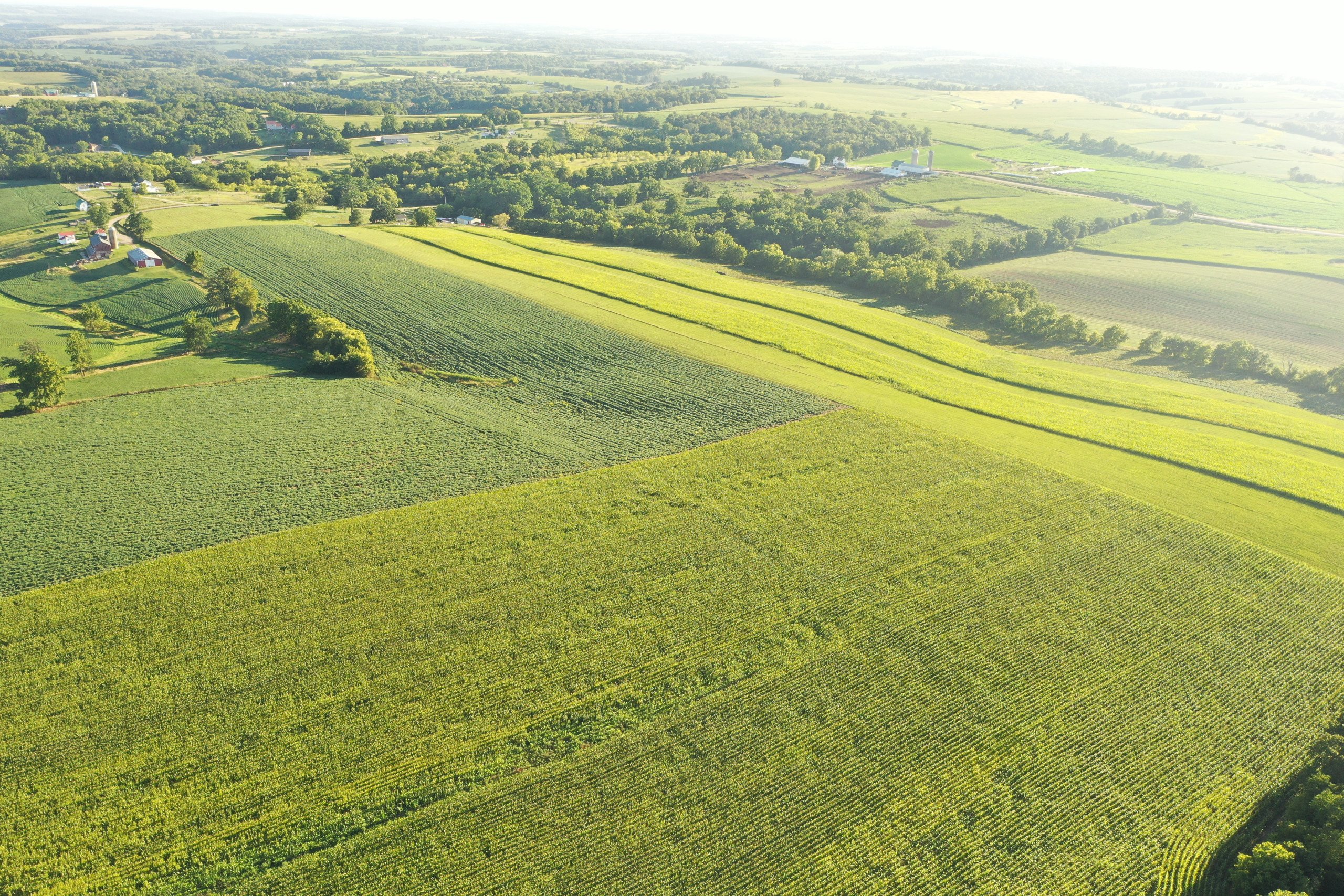 green-county-wisconsin-217-acres-listing-number-17055-DJI_0184-0.jpg