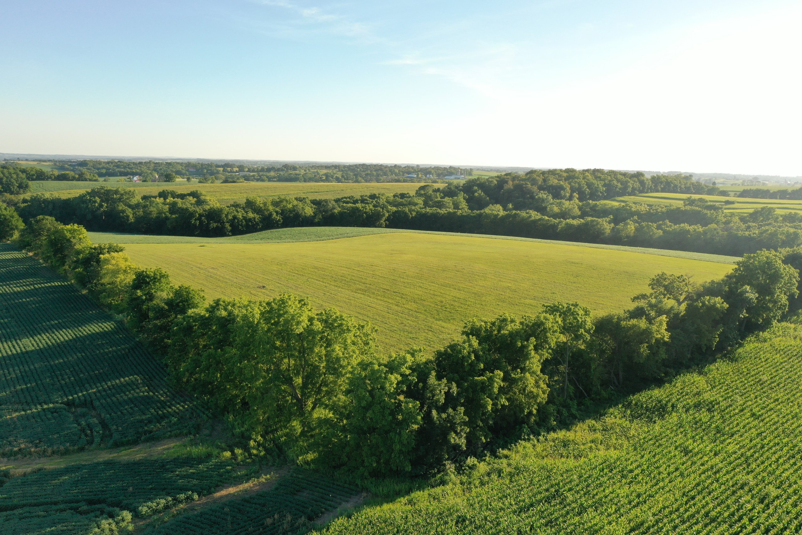 green-county-wisconsin-217-acres-listing-number-17055-DJI_0210-2.jpg