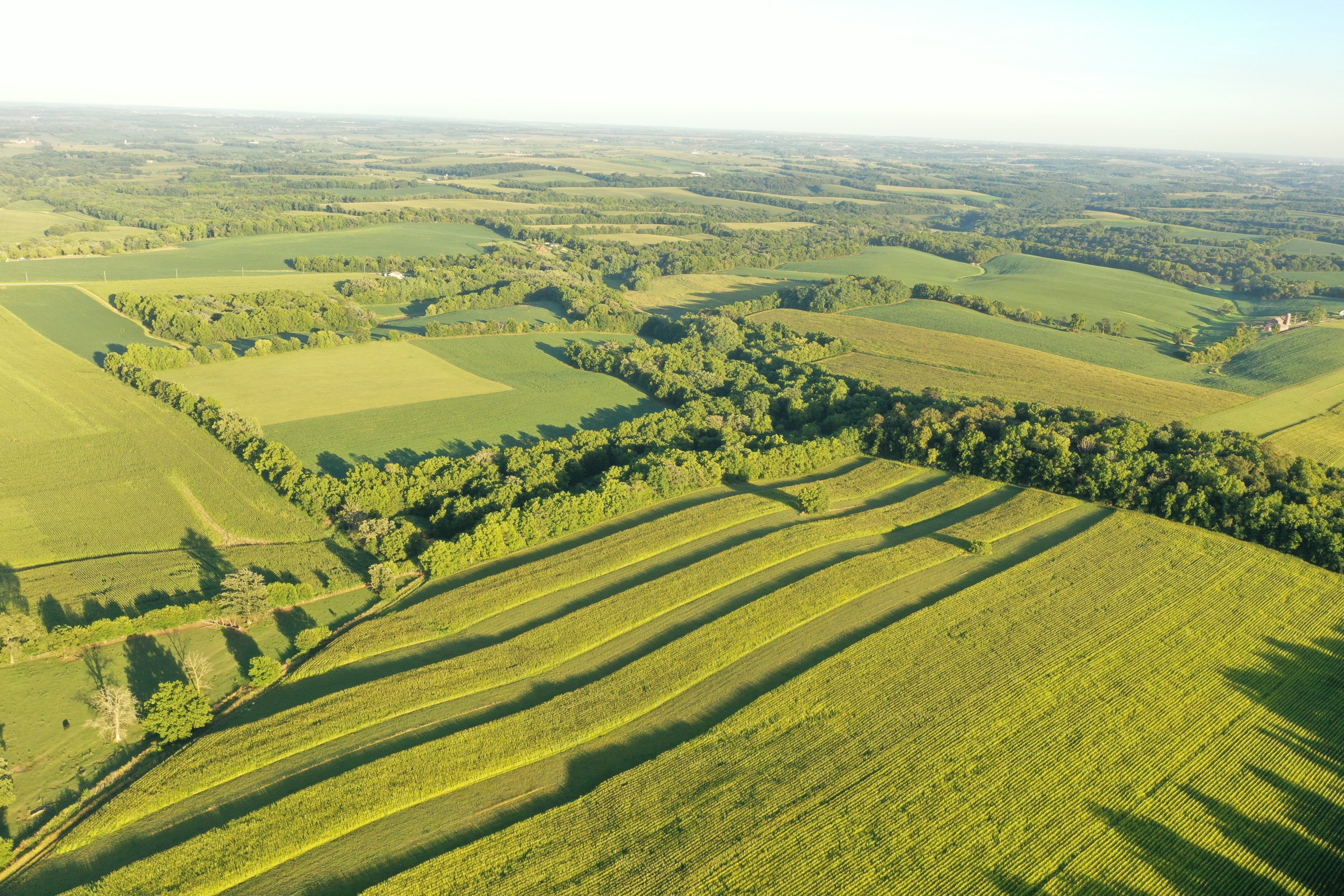 green-county-wisconsin-217-acres-listing-number-17055-DJI_0243-3.jpg