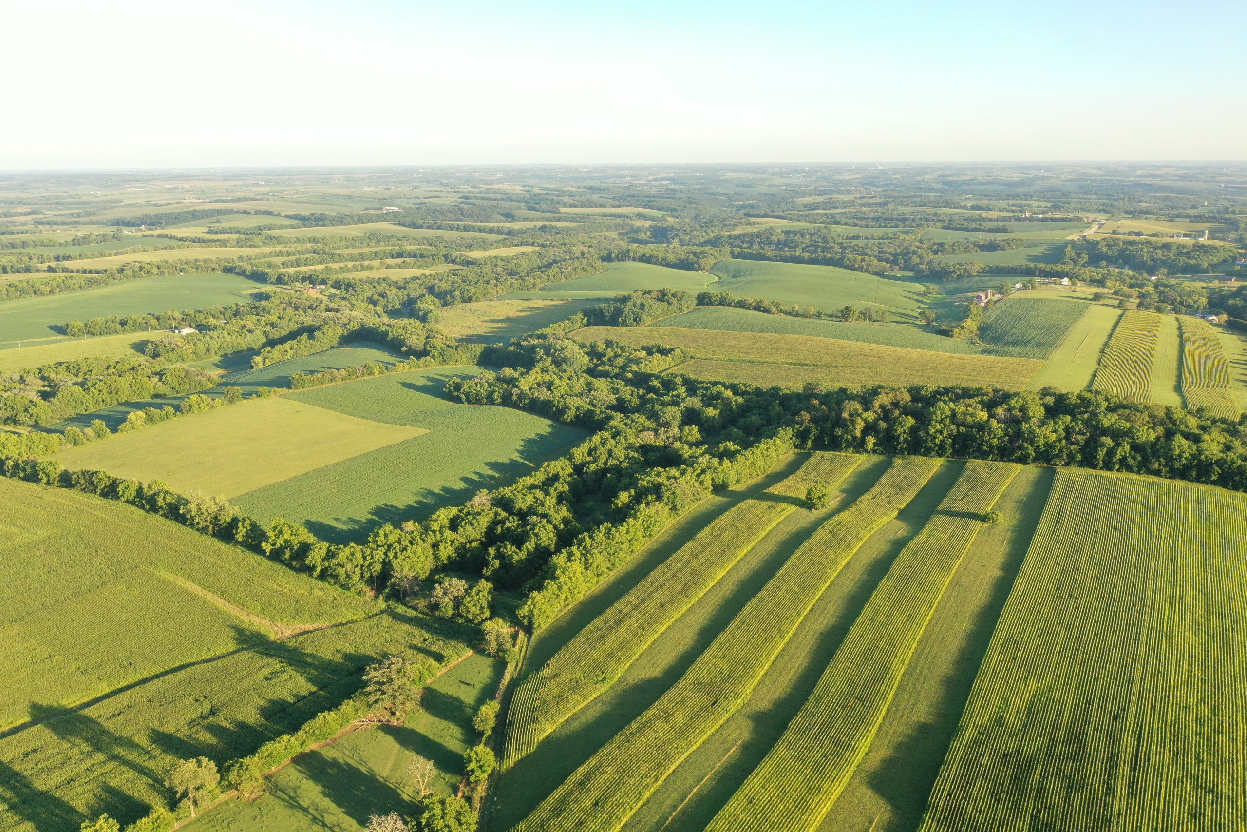 green-county-wisconsin-217-acres-listing-number-17055-DJI_0245-0.jpg