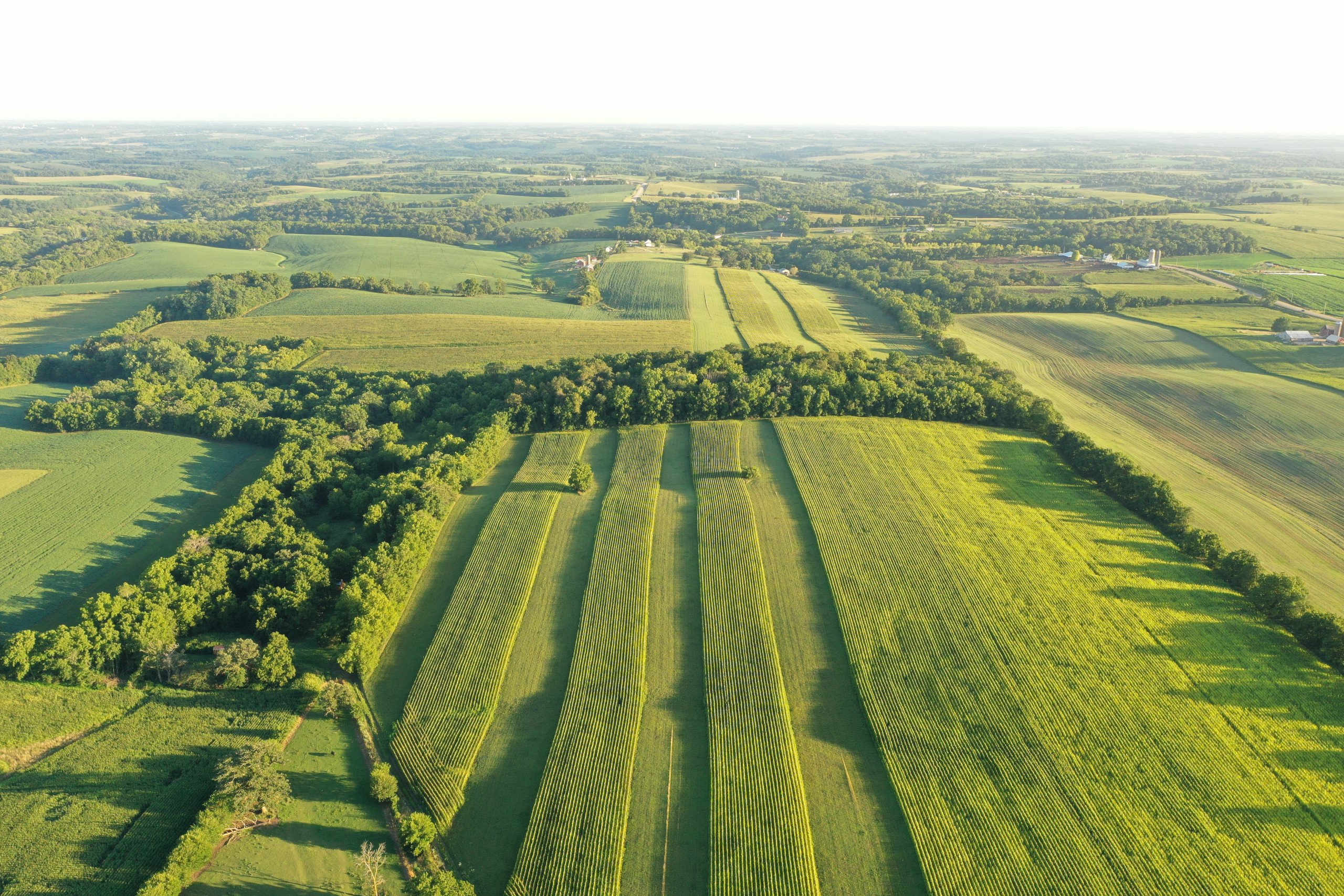 green-county-wisconsin-217-acres-listing-number-17055-DJI_0246-1.jpg