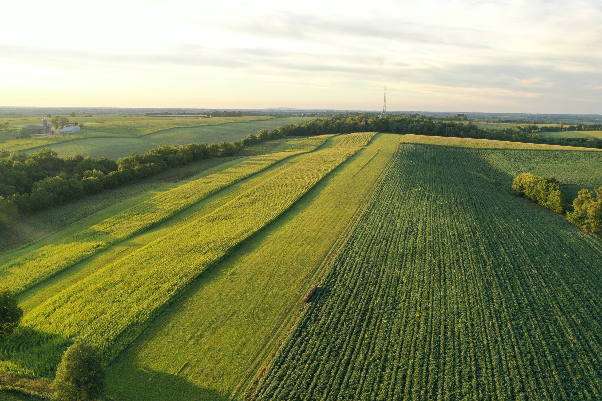 green-county-wisconsin-217-acres-listing-number-17055-DJI_0258-0.jpg