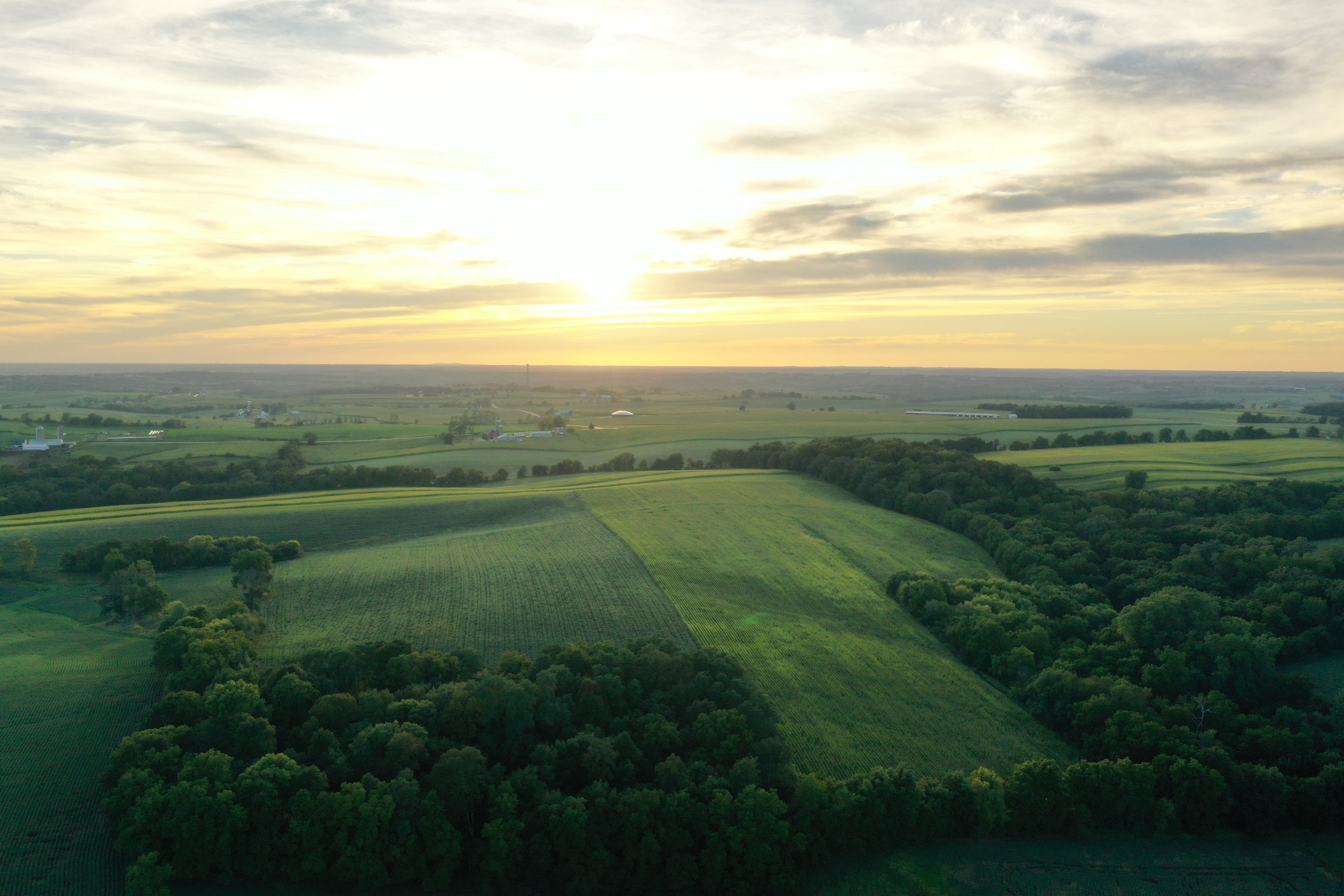 green-county-wisconsin-217-acres-listing-number-17055-DJI_0268-1.jpg