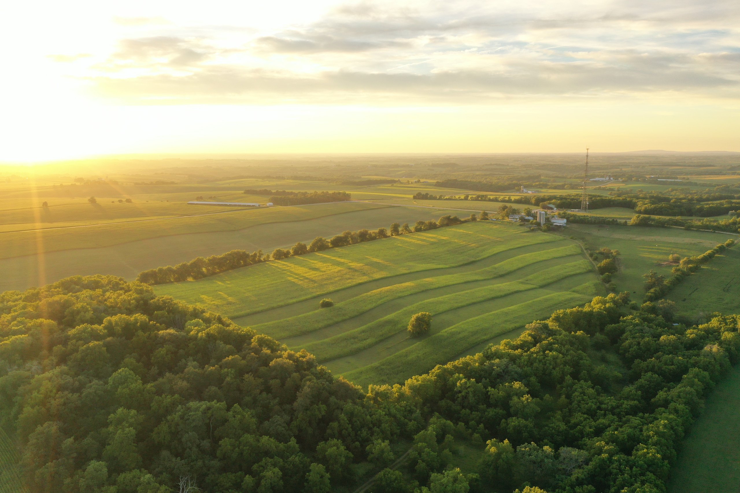 green-county-wisconsin-217-acres-listing-number-17055-DJI_0284-0.jpg