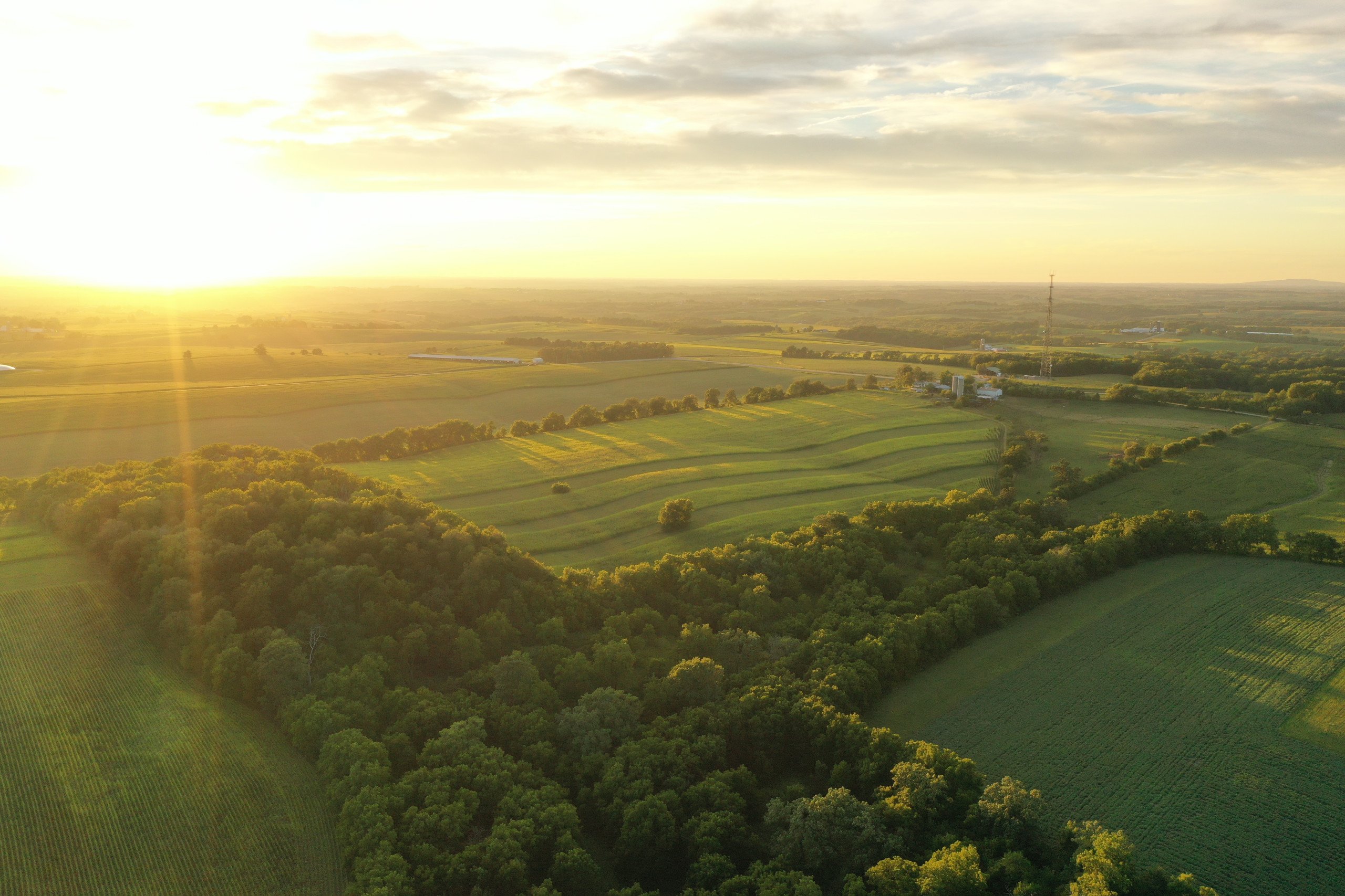 green-county-wisconsin-217-acres-listing-number-17055-DJI_0286-2.jpg