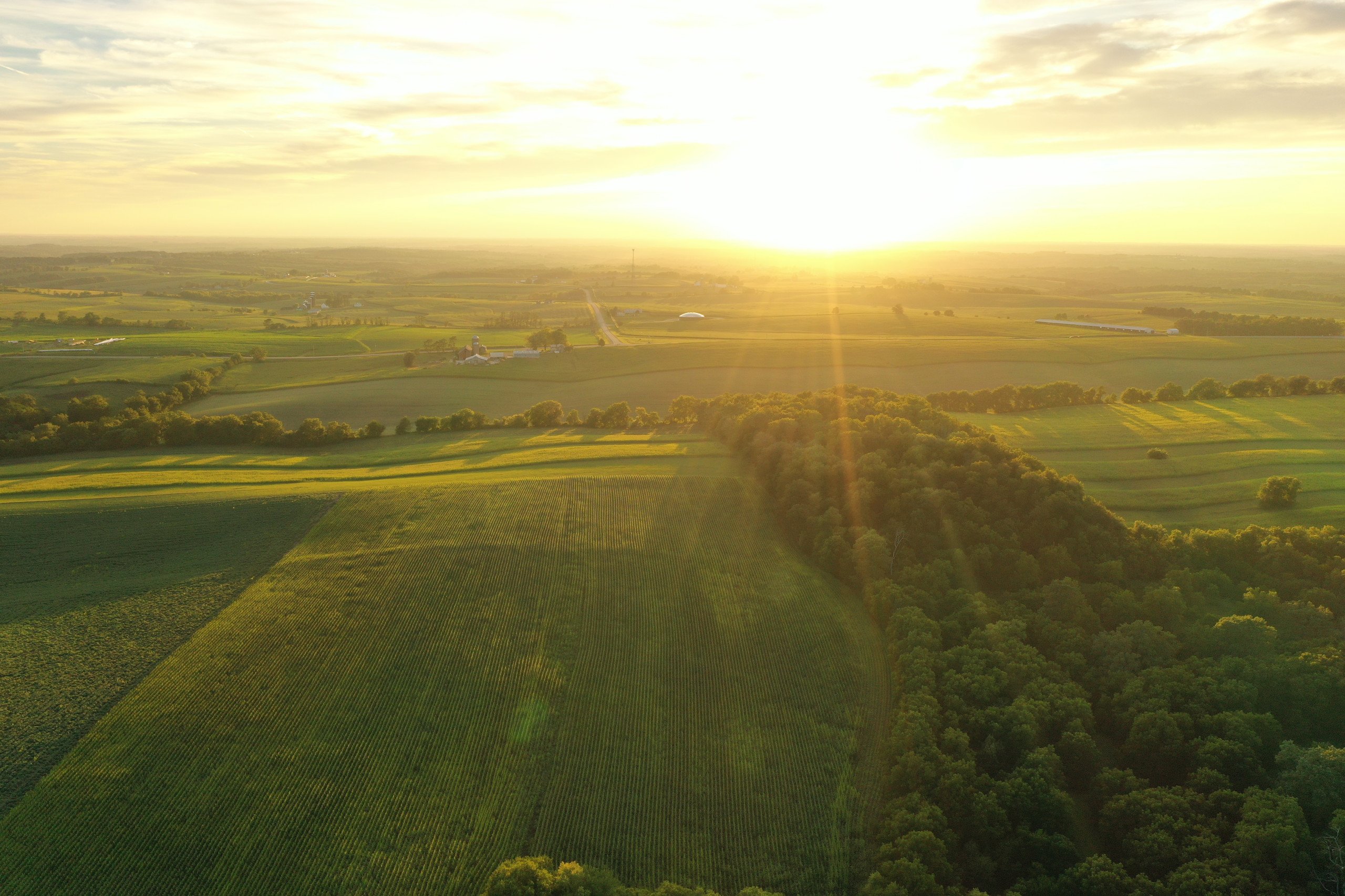 green-county-wisconsin-217-acres-listing-number-17055-DJI_0287-3.jpg