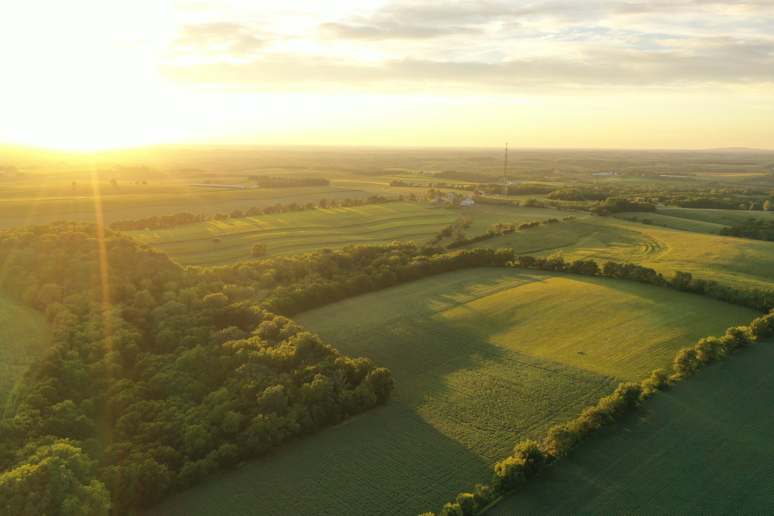 green-county-wisconsin-217-acres-listing-number-17055-DJI_0289-4.jpg