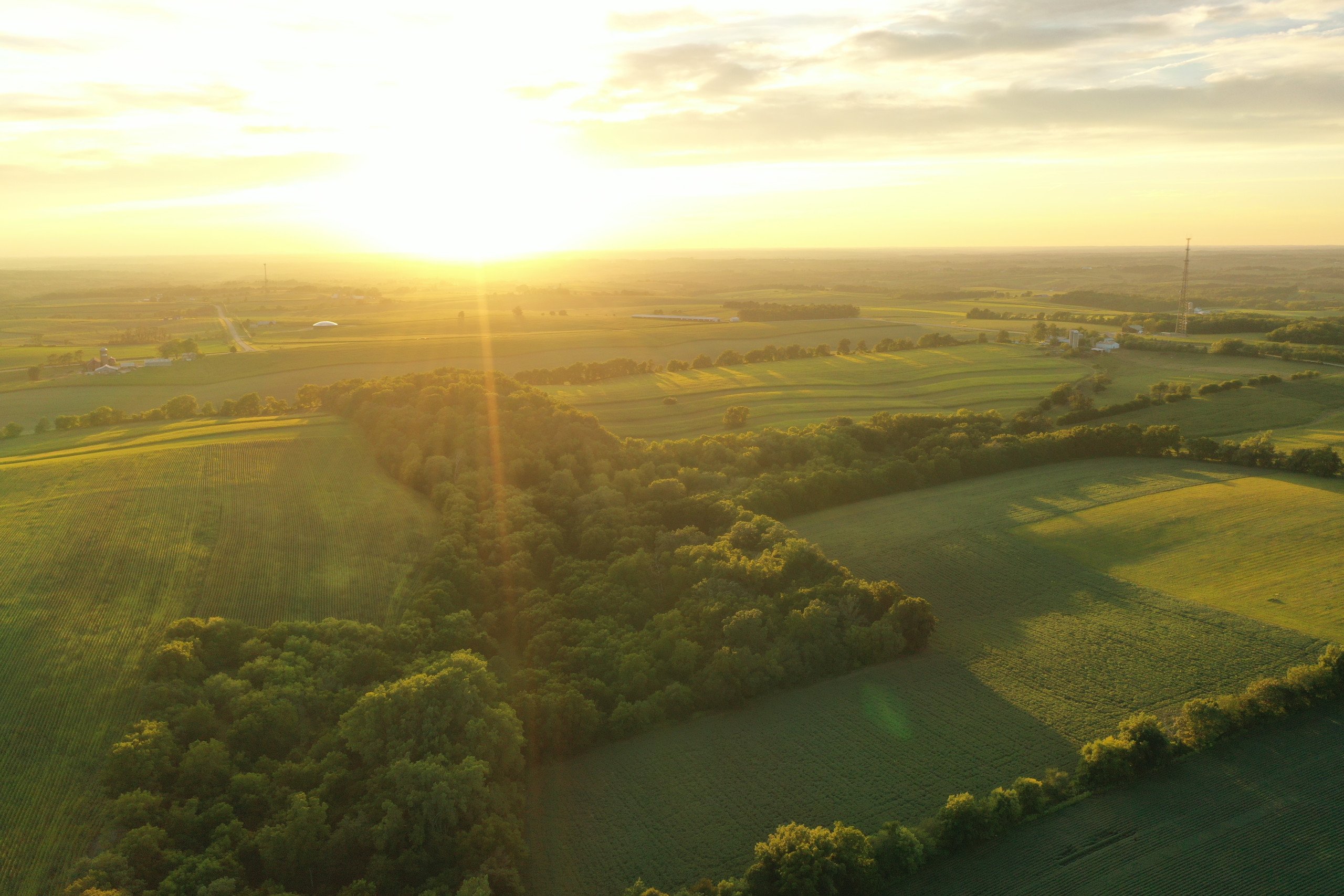 green-county-wisconsin-217-acres-listing-number-17055-DJI_0290-0.jpg