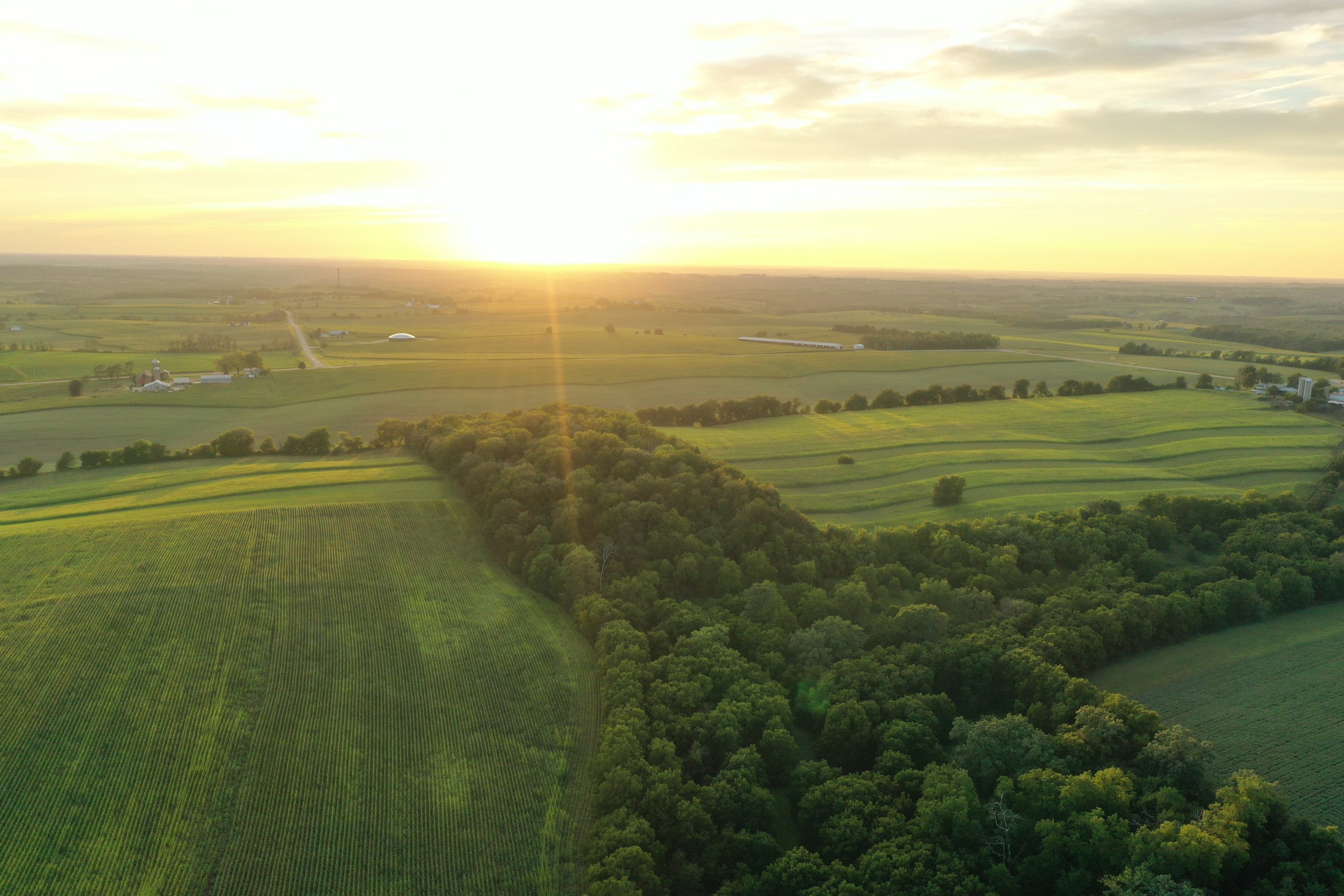 green-county-wisconsin-217-acres-listing-number-17055-DJI_0294-2.jpg