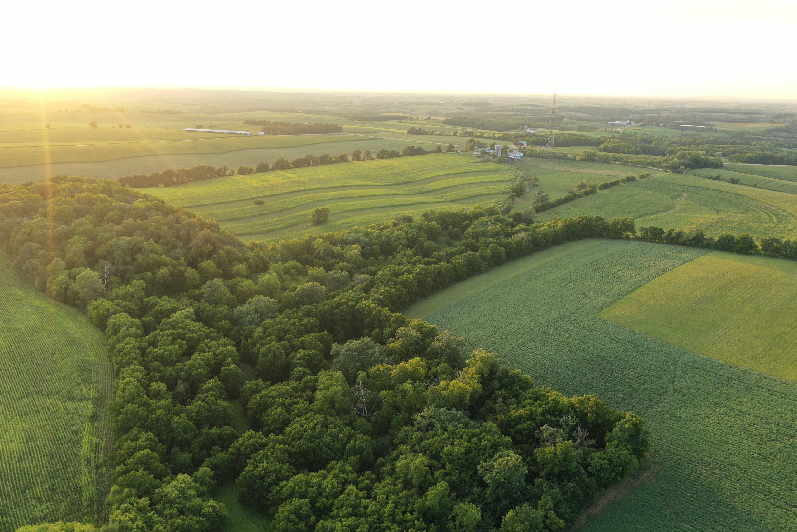 green-county-wisconsin-217-acres-listing-number-17055-DJI_0295-3.jpg