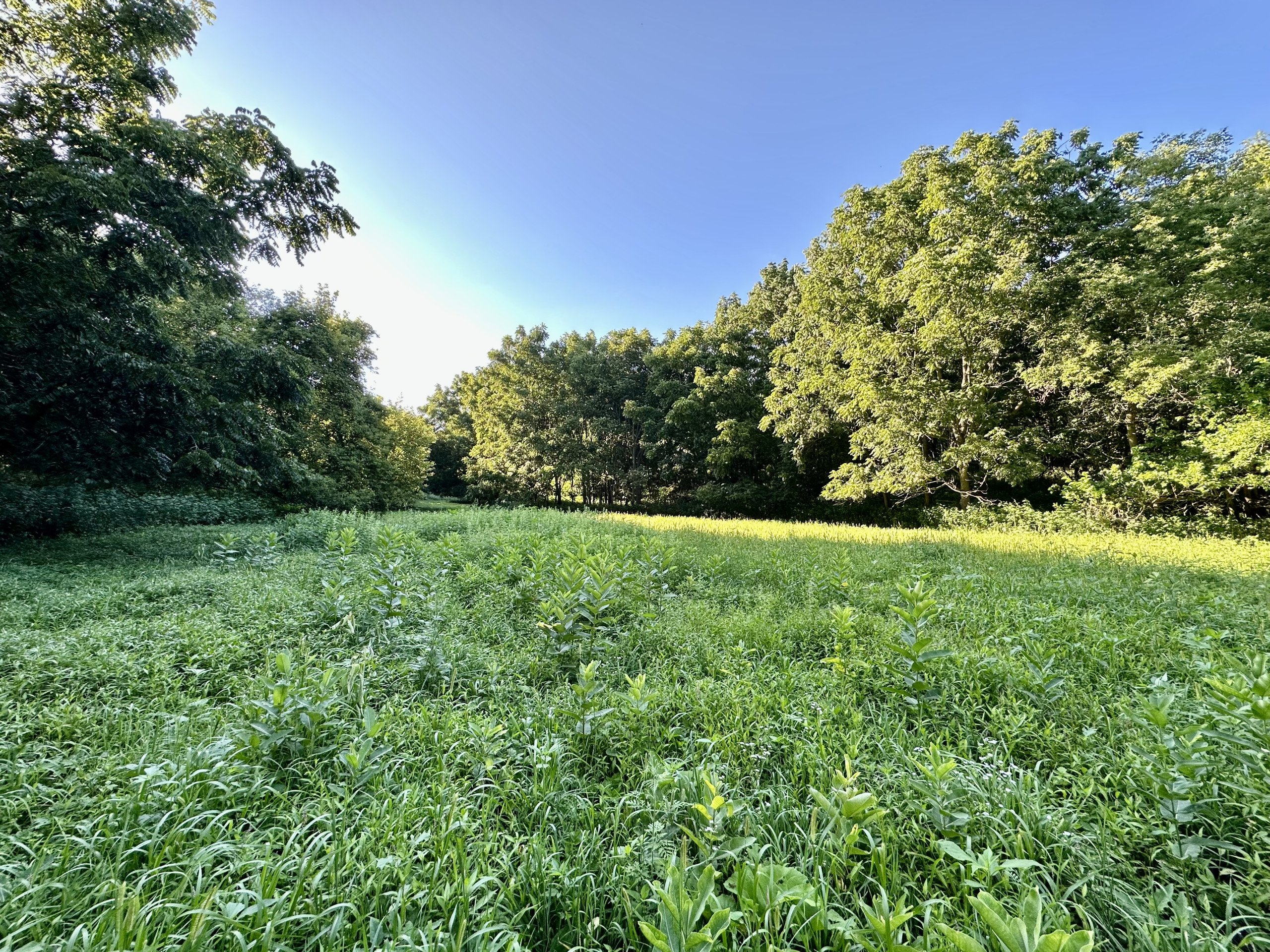 green-county-wisconsin-217-acres-listing-number-17055-Photo Aug 16 2023, 6 01 45 PM-0.jpg