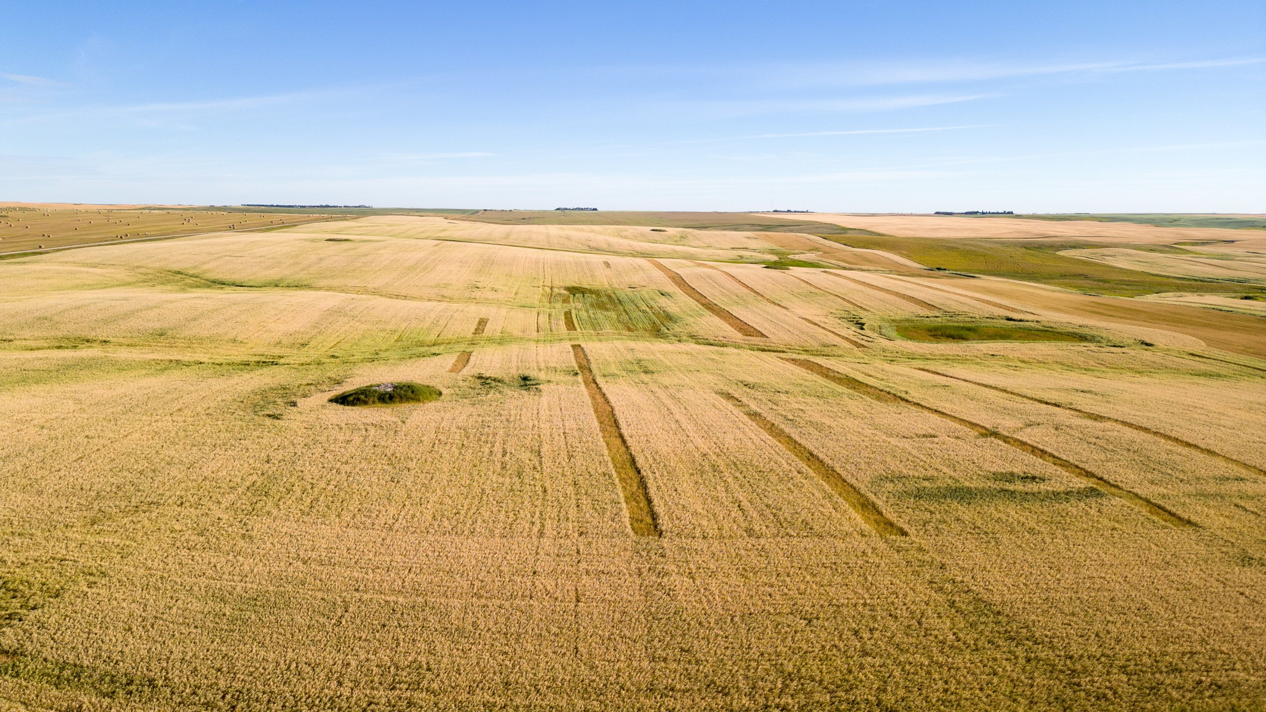 land-williams-county-north-dakota-2034-acres-listing-number-17056-Williston-072-1.jpg