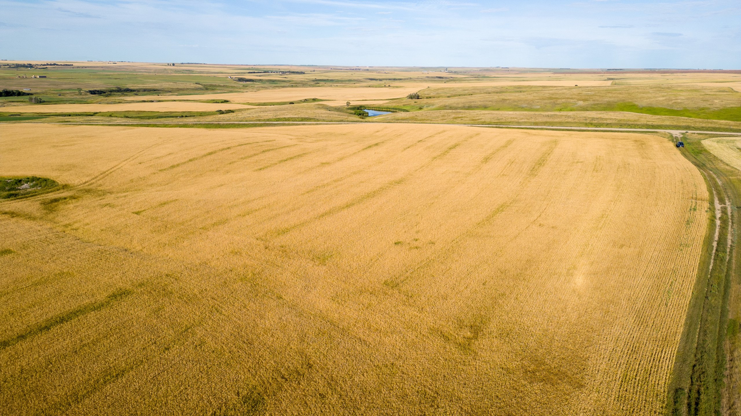 land-williams-county-north-dakota-2034-acres-listing-number-17056-Williston-075-2.jpg